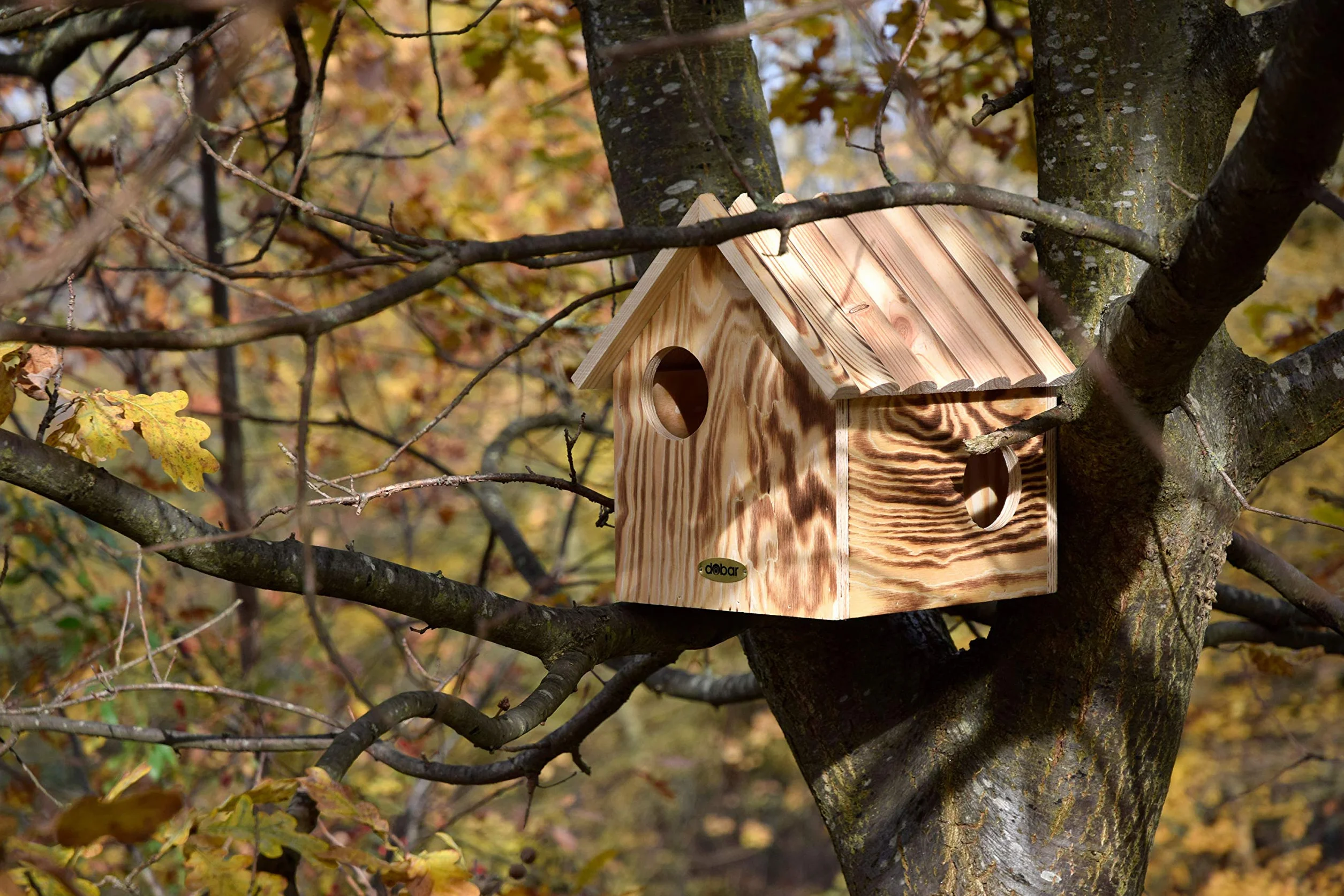 dobar® 22231FSCe kobel wiewiórek - domek dla wiewiórek z litego drewna - karmnik dla wiewiórek - dom do spania wiewiórek z 3 wejściami - 26 x 26 x 29 cm - podpalany