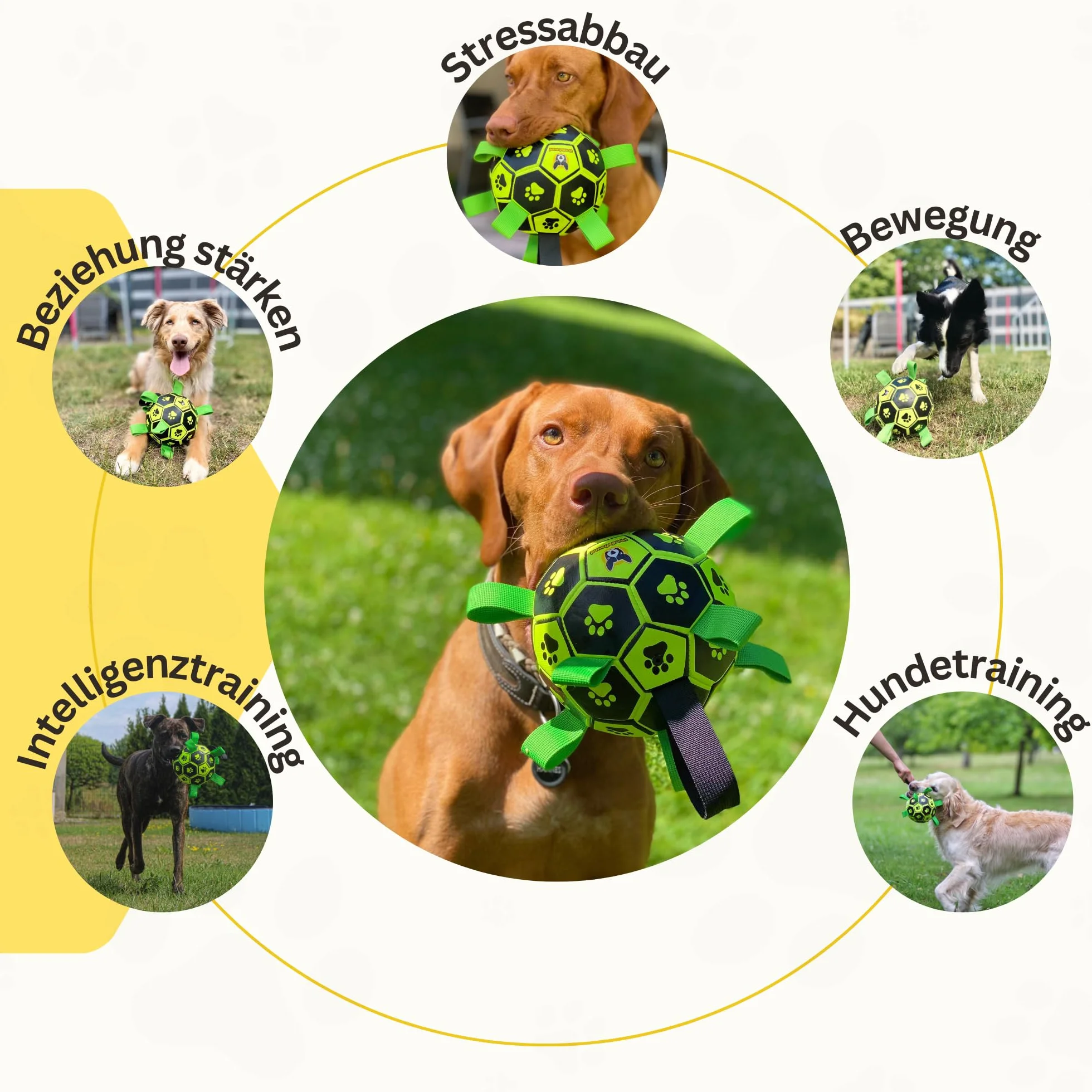 Hundefreund Świecąca Piłka dla Psa 15 cm Interaktywna Niezniszczalna z Pompką