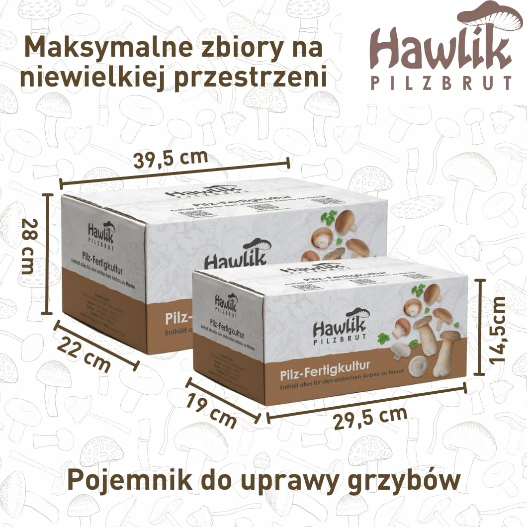 Hawlik Pilzbrut grzybnia - małe kamienne grzyby kultura grzybów do samodzielnej uprawy - zestaw do uprawy grzybów - uprawa grzybów to dziecinnie prosta - zestaw do uprawy grzybów w domu, Klein Braun