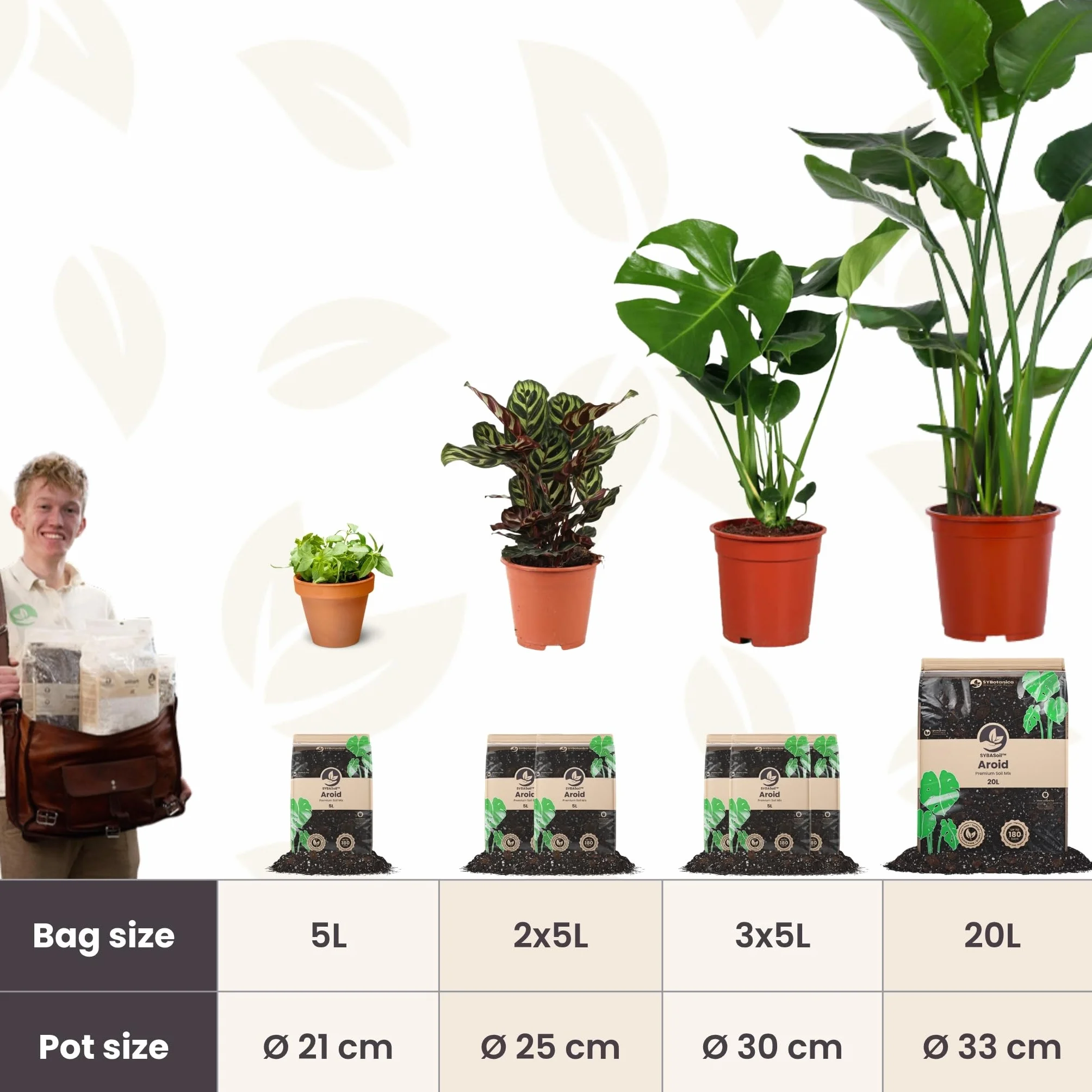 Sybotanica podłoże do Monstery i Filodendrona 5 L kokosowe bez torfu organiczne odżywianie