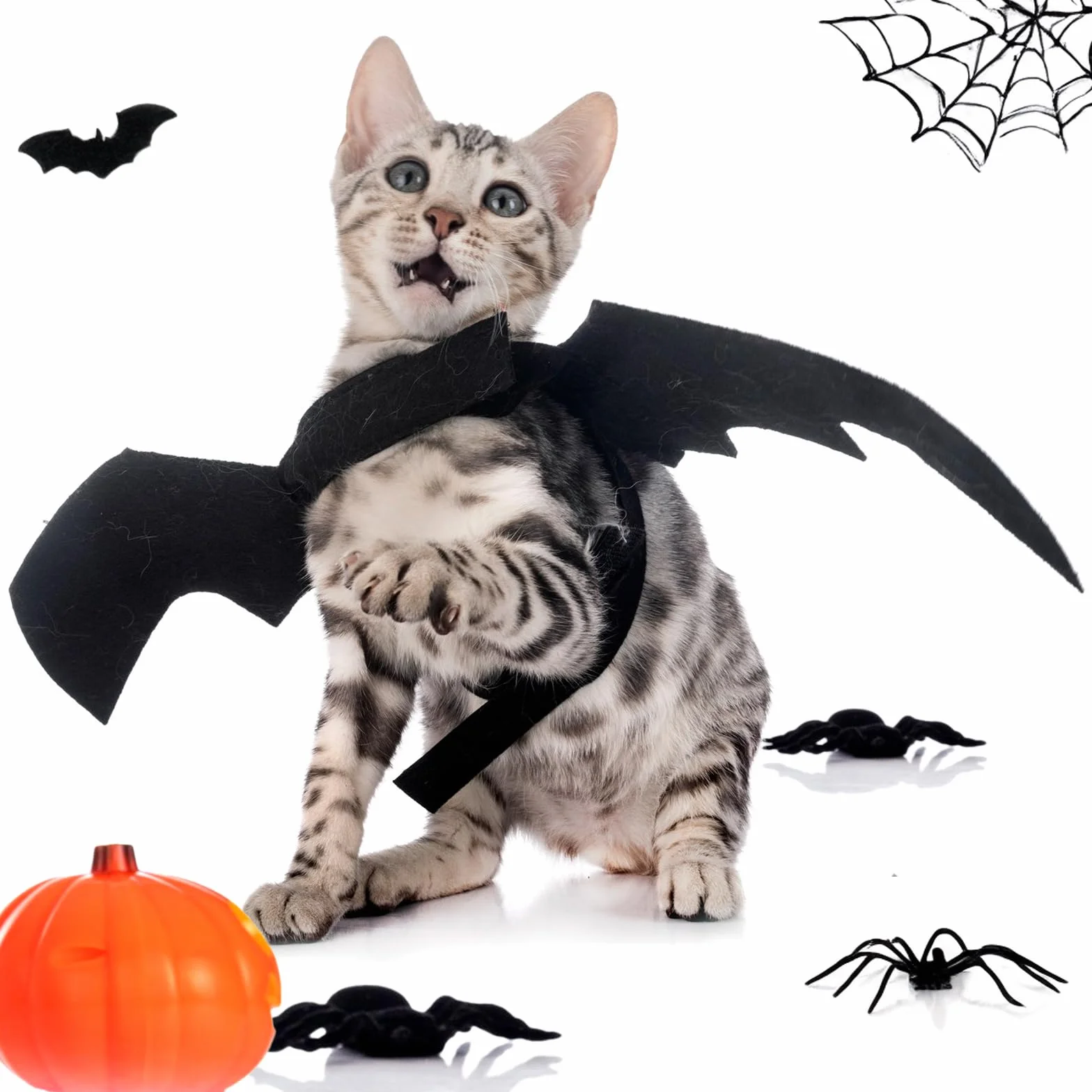 Kostium na Halloween dla kota z czarnymi skrzydłami nietoperza