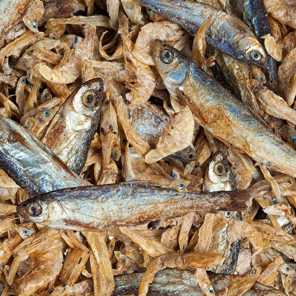 Raffy Royal Nature 3,8 l (750 g) suszone ryby i krewetki pokarm dla żółwi wodnych
