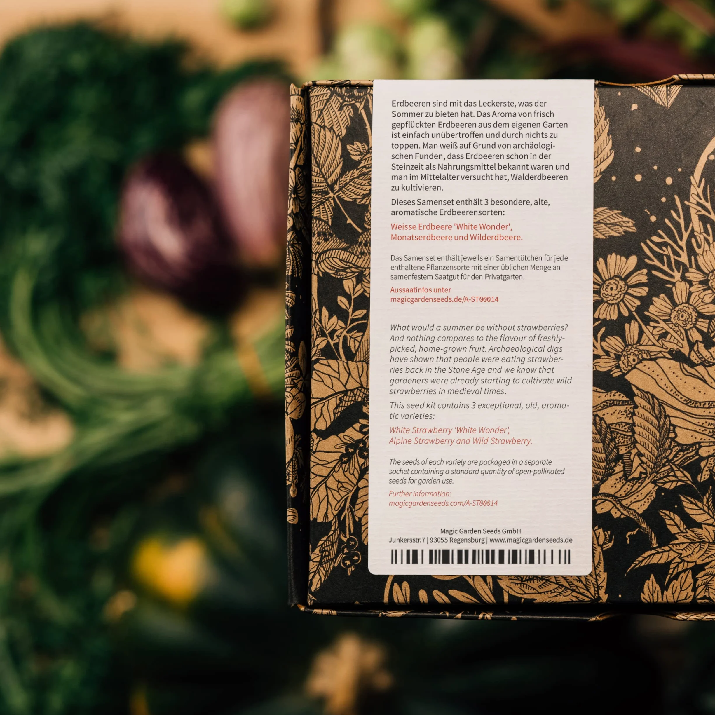 Magic Garden Seeds - Stare odmiany truskawek – zestaw upominkowy z 3 tradycyjnymi, pysznymi odmianami – zestaw do uprawy z białą truskawką, czerwoną truskawką miesięczną i poziomką