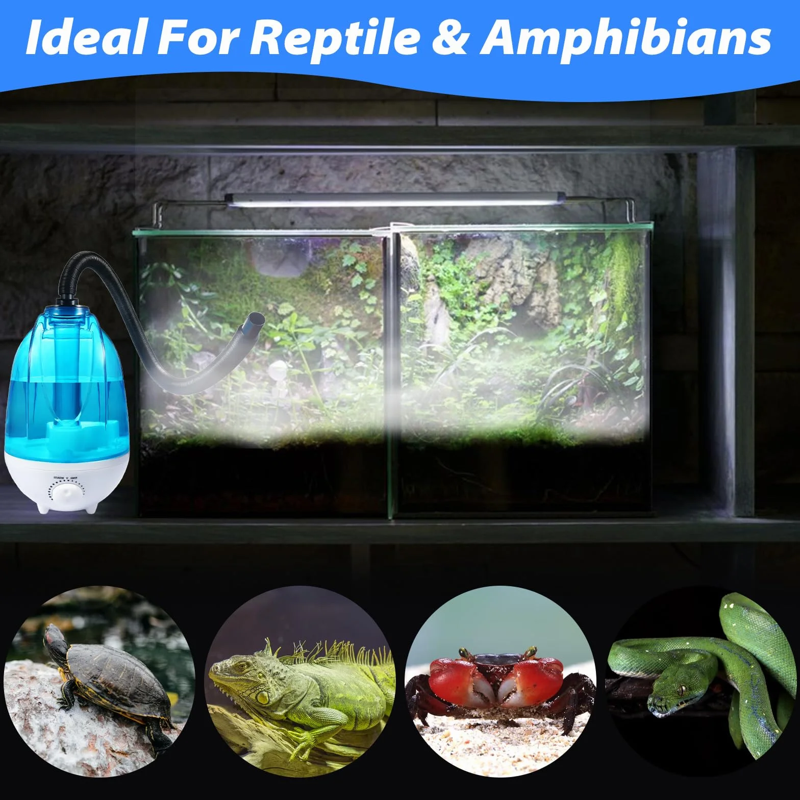 Nawilżacz powietrza do terrarium 4 l 300 ml/h z oświetleniem nocnym
