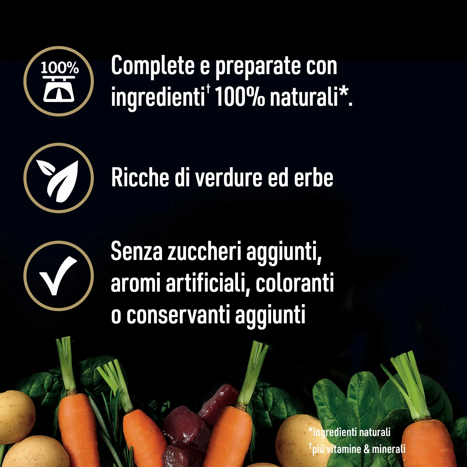 Cesar NATURAL GOODNESS Premium mokra karma dla psów bez zbóż z superfoods megapack 24 x 100 g