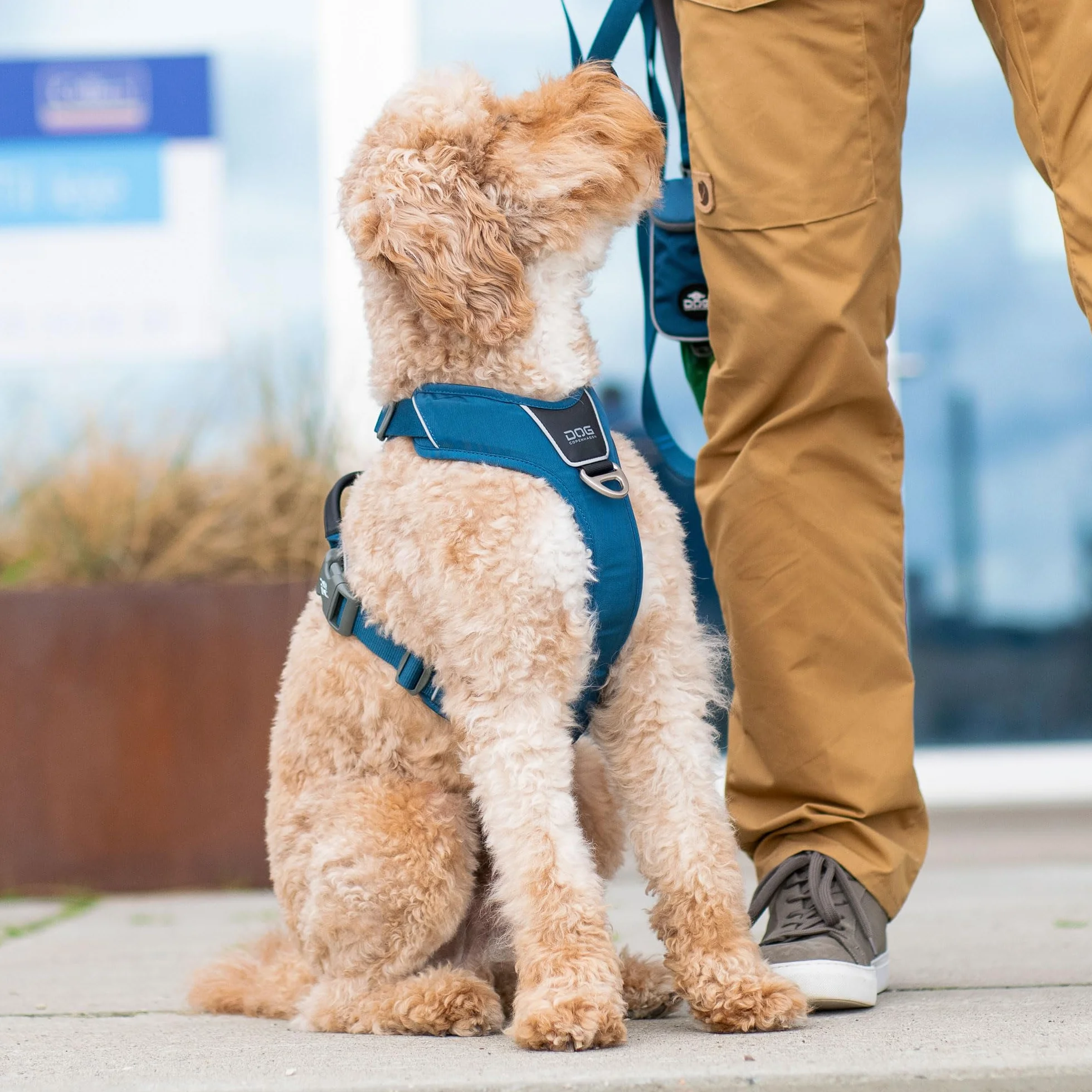 DOG Copenhagen Comfort Walk Pro 3.0 Uprząż dla psa treningowa z klipem górnym i przednim odblaskowa