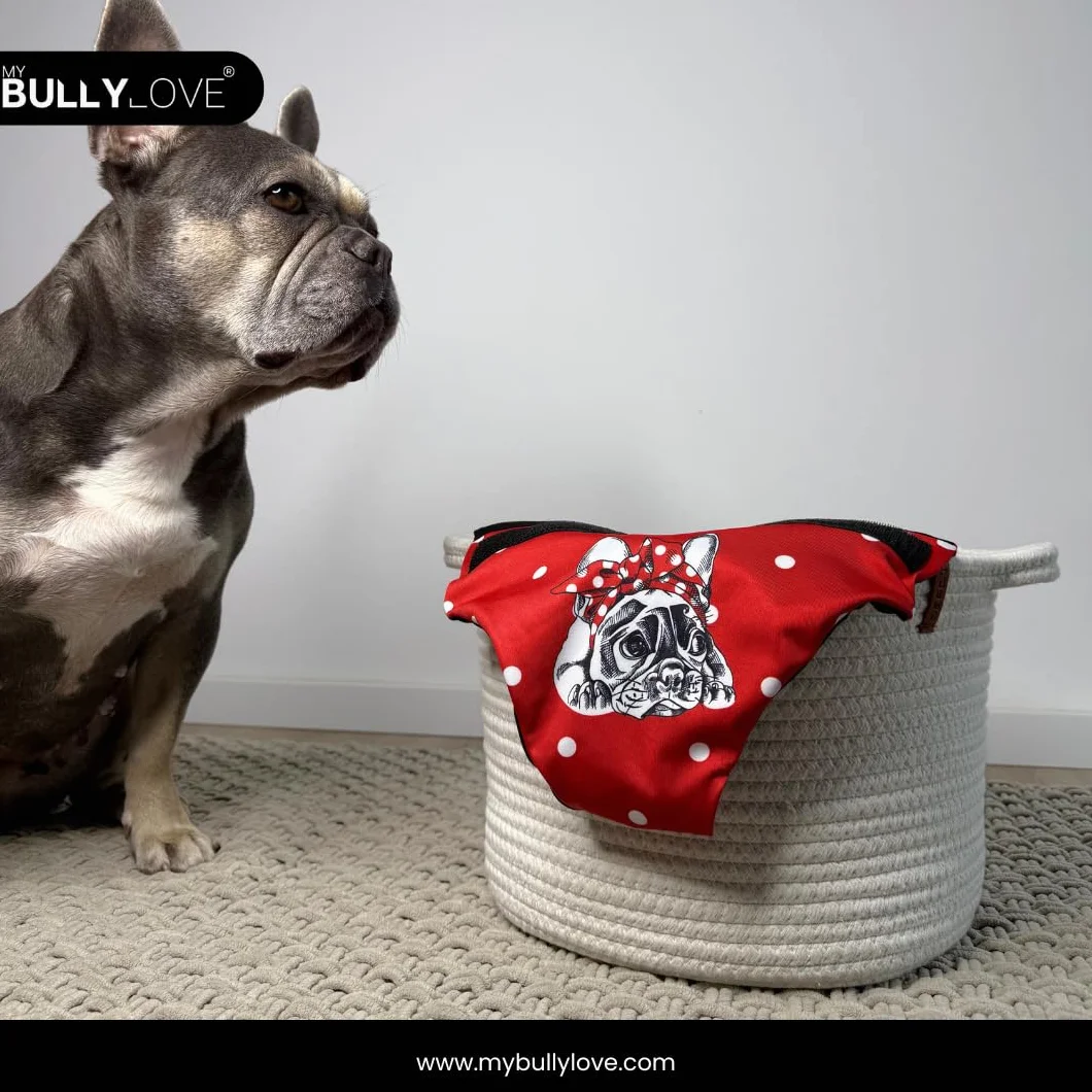 Red Bully Majtki na ruję dla buldogów francuskich pieluchy wielokrotnego użytku bez otworu na ogon regulowane obwód bioder 42-47