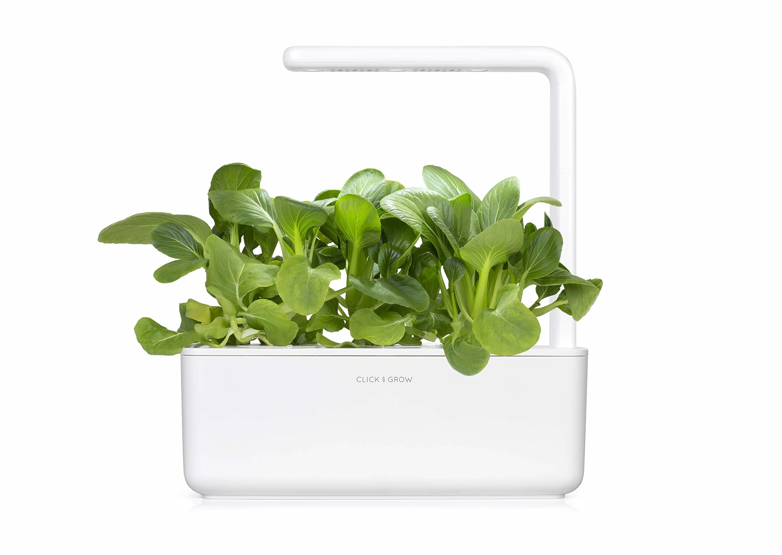 Click and Grow Smart Garden Pak Choi Plant Pods, 3-pack