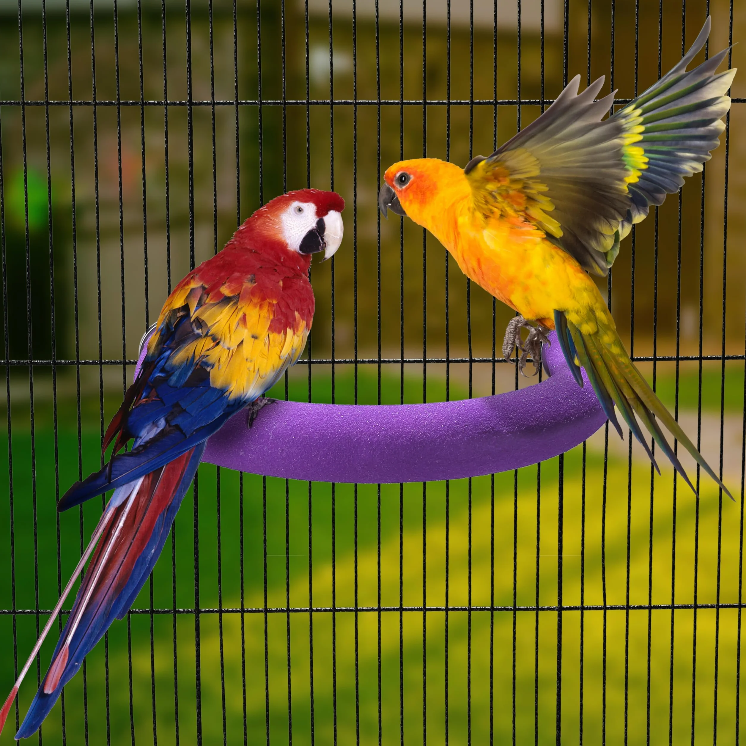 U kształt papugi stojak zabawka ptak platforma piasek łapa szlifowanie czysty kij ćwiczenia Conure Budgie Cockatiel klatka akcesoria (fioletowy)