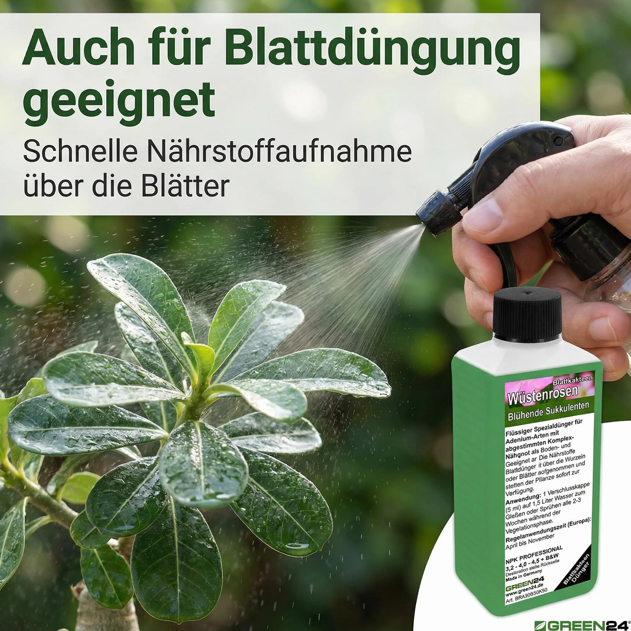 GREEN24 Nawóz do róż pustynnych 250 ml, specjalny nawóz do Adenium obesum, wspomaga gęsty kaudex, bogaty blask kwiatów i zwarty wzrost, idealny do wszystkich drzew butelkowych i roślin kaudexowych