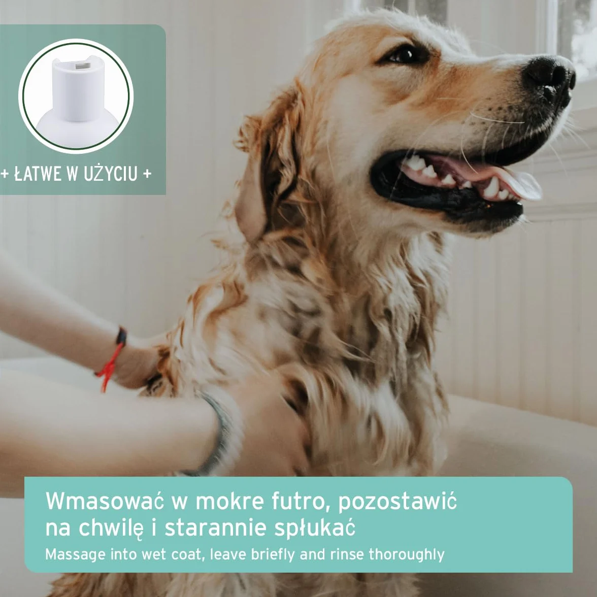 AniForte Neemoil szampon dla psów 500 ml przeciw swędzeniu, roztoczom, pchłom, kleszczom