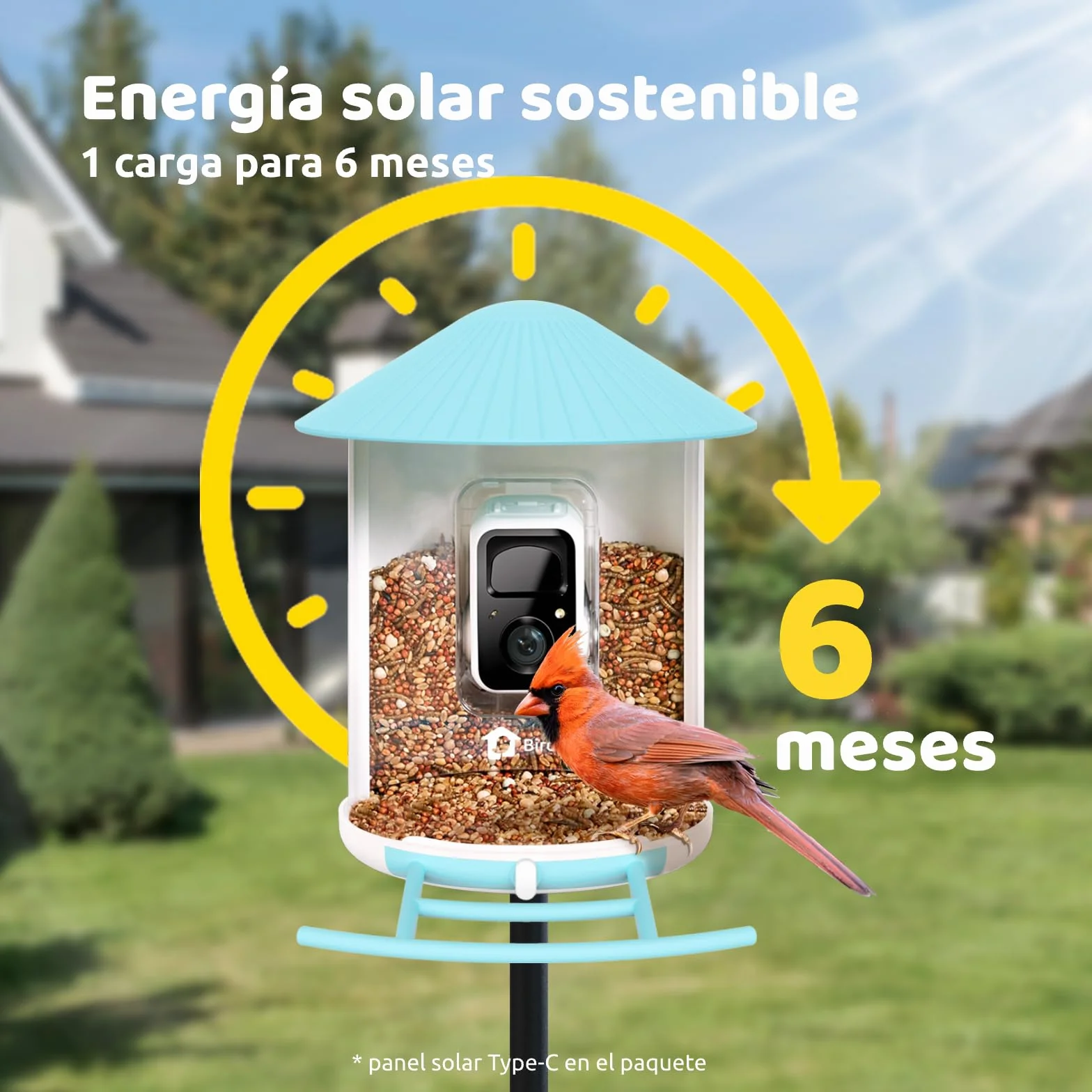 NETVUE Birdfy Pro Lite Vogelhaus z kamerą, stacja Vogelfutterstation z kamerą i DIY wielofunkcyjny stojak, stacja futterstationen for Wildvögel, Vogelfutterspender mit Meisenknödelhalter, Wasser/Gelee