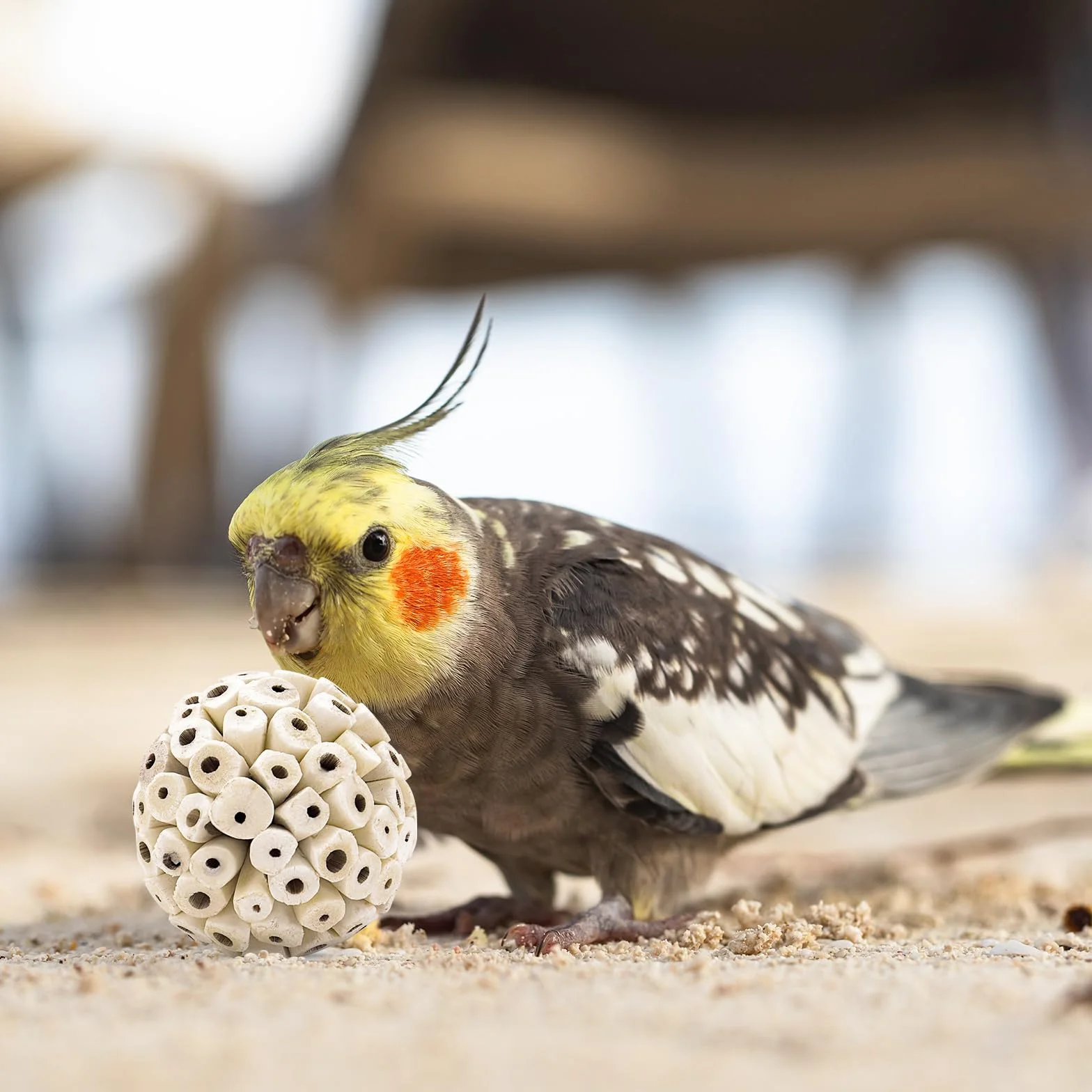 Naturalne kulki Sola zabawka do żucia dla papugi Budgie Finch ara