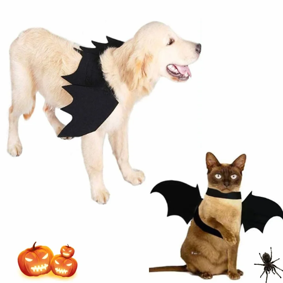Kostium kota na Halloween skrzydła nietoperza dekoracja dla psa rozmiar S