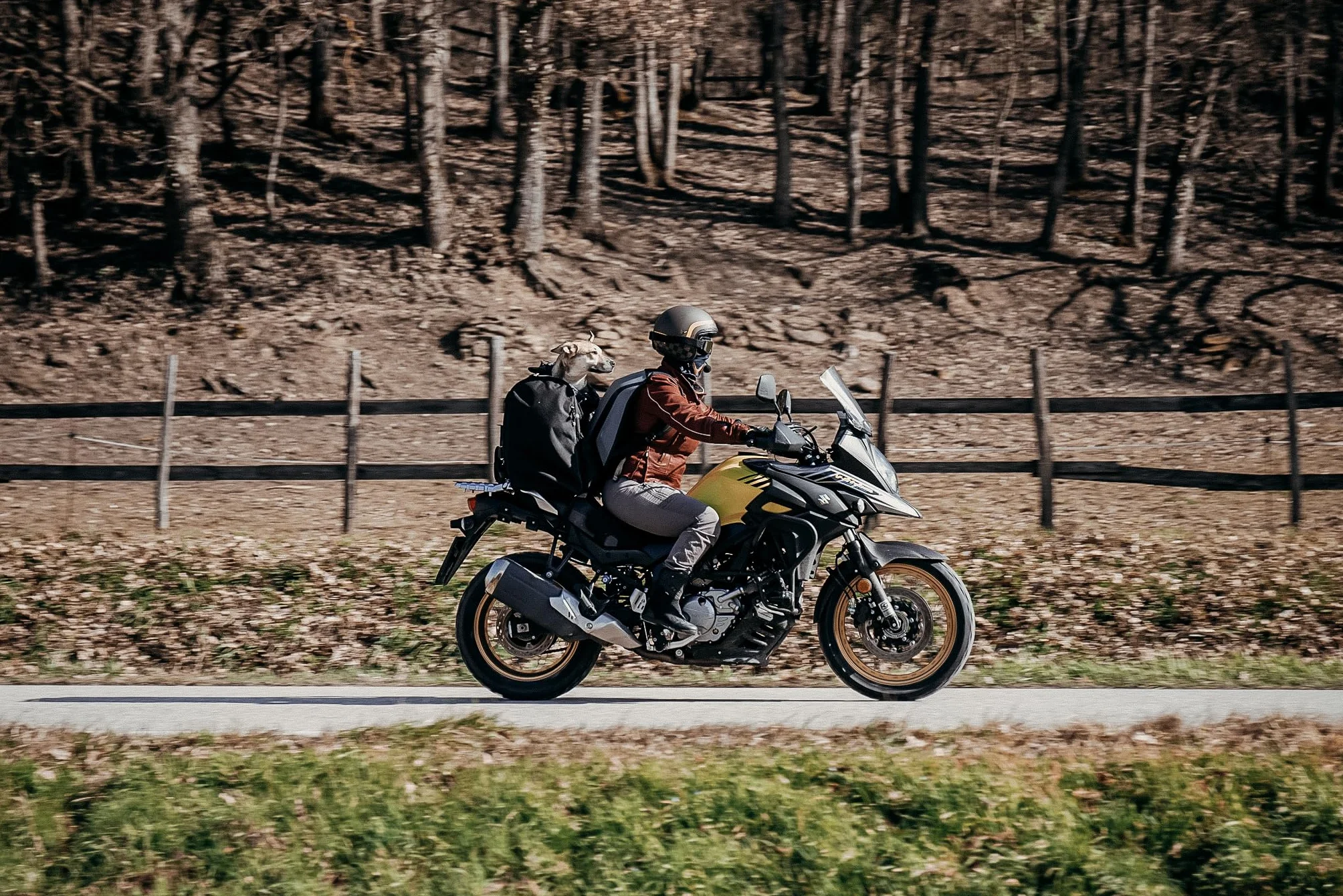 PET BAG, torba dla psa do jazdy na motocyklu, dla dużych ras psów (do 20 kg), wodoodporna, z potrójnym systemem wentylacji, torba motocyklowa na sissy bar, wykonana z włoskiej Cordury
