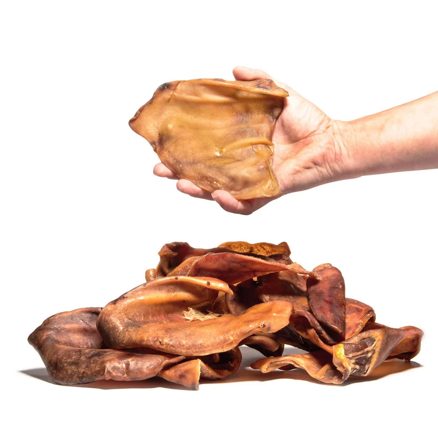 Ucho Wieprzowe dla Psa Duże, Sztuk, Zdrowe Naturalne Gryzaki dla Psa, Najwyższej Jakości Suszone Smakołyki dla Psa, Całe Wieprzowe Uszy dla Psów od J&J Tasty Treats (8 sztuk (w jednym opakowaniu))