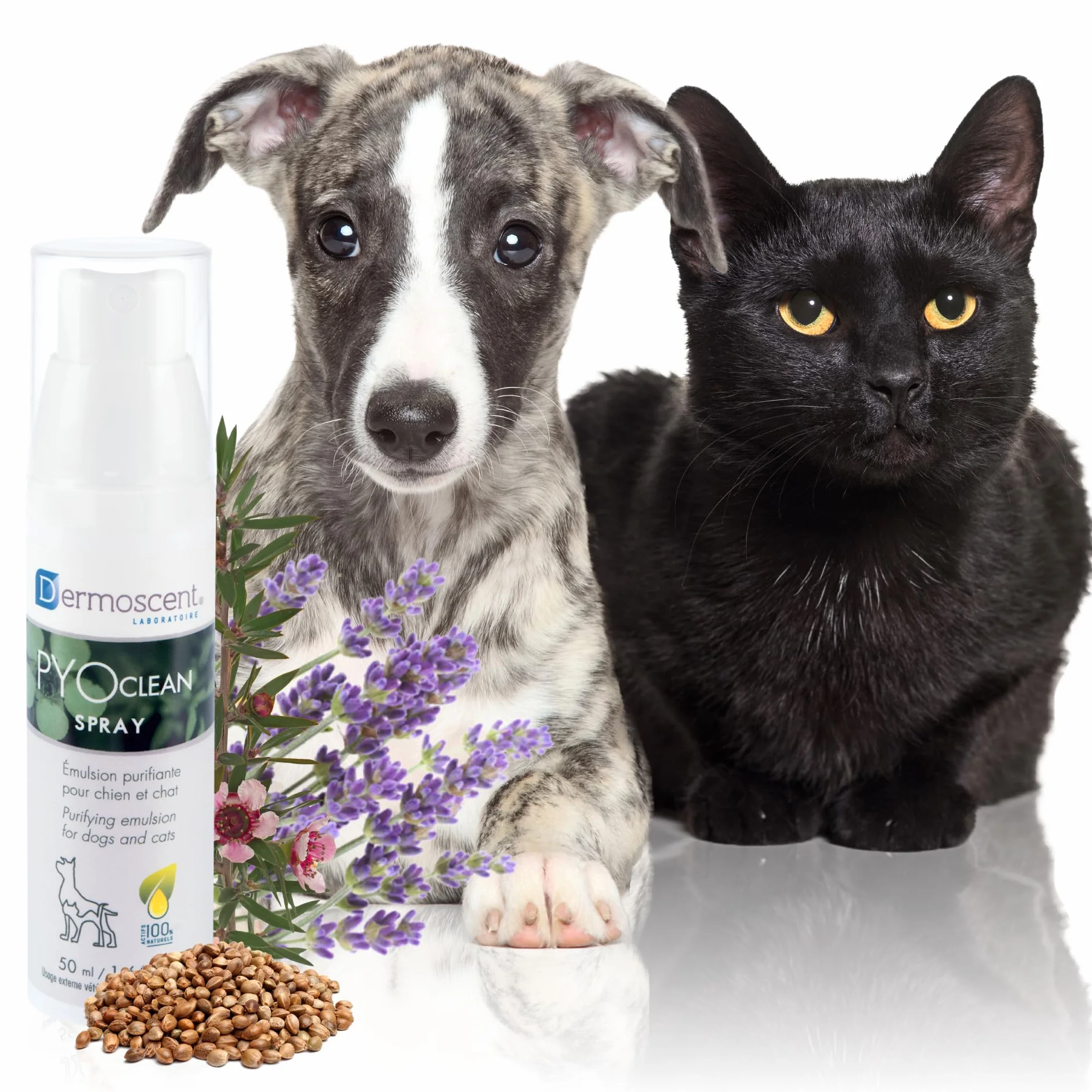 Dermoscent PYOclean Spray dla psów i kotów – 50 ml