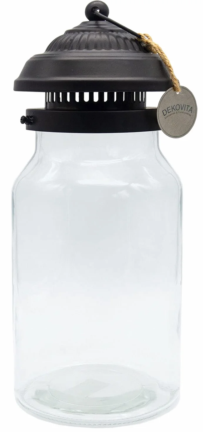 Dekovita Szklanka do terrarium z pokrywką – 5 l szkło dekoracyjne latarnia wazon – 16 x 41 cm słoik do roślin DIY ogród butelkowy