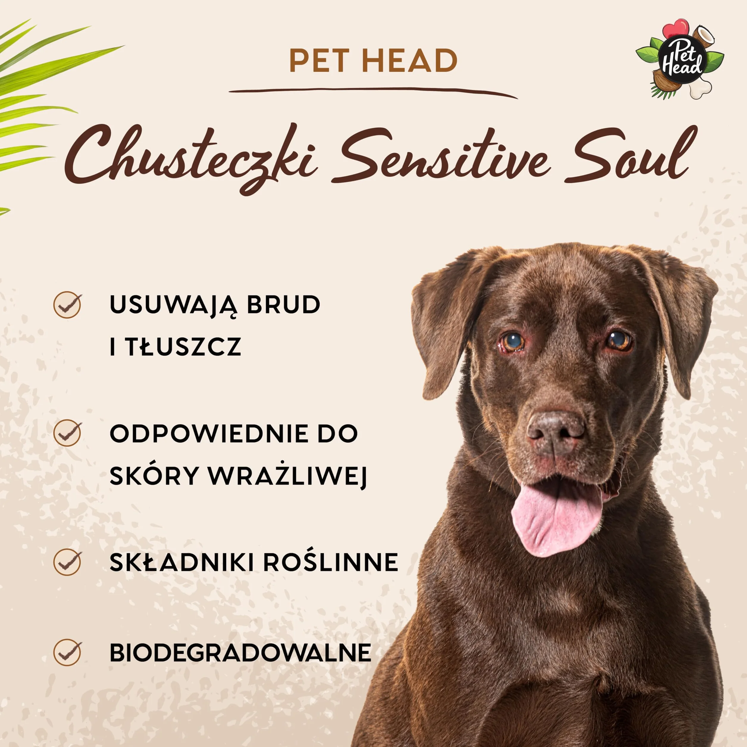 Pet Head Chusteczki nawilżane dla psów i kotów Sensitive Soul 100 szt Biodegradowalne