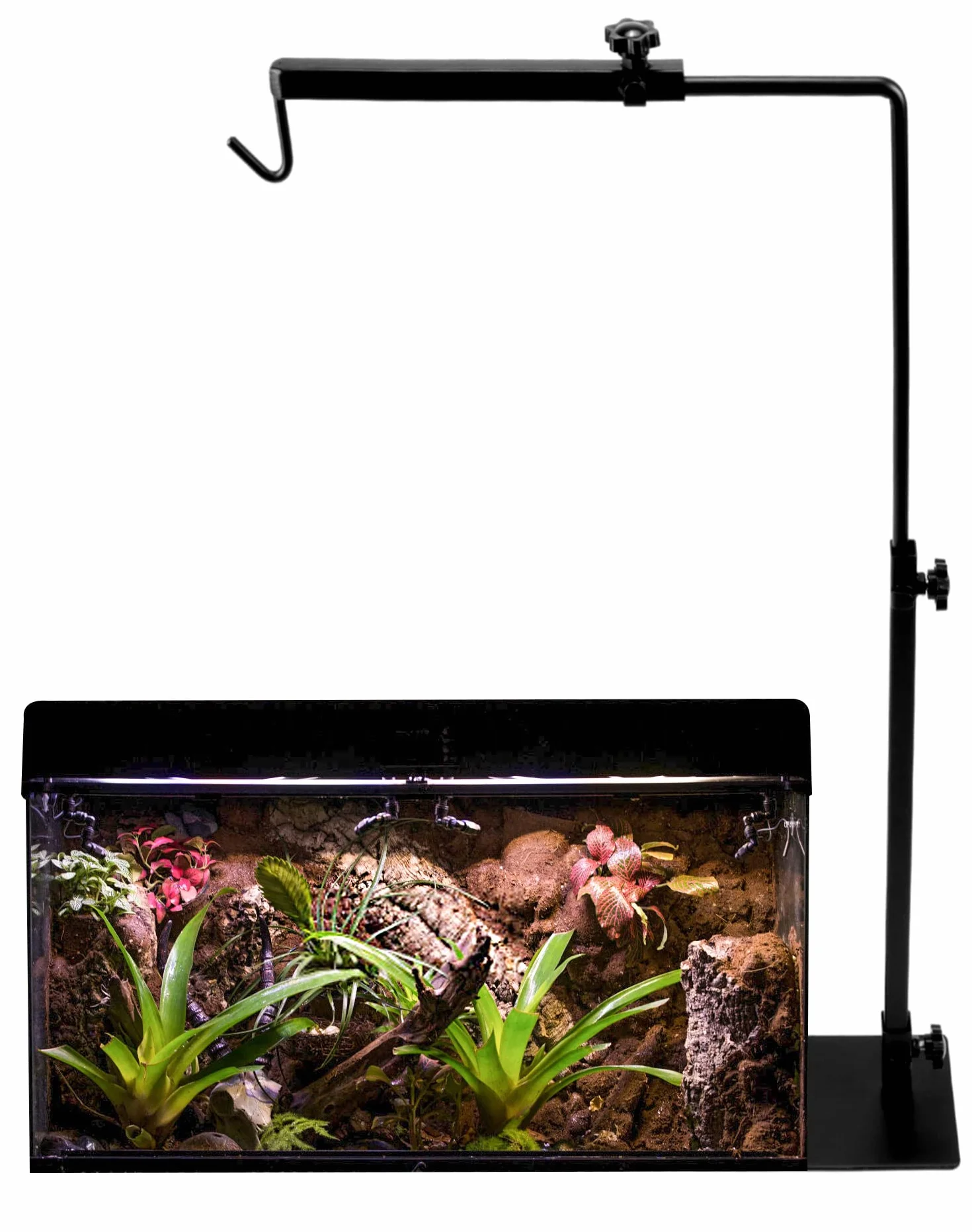 QWORK® Uchwyt lampy gadów do klatki siedliskowej, stojak na lampę grzewczą dla gadów, żółwi, gekonów pająków, regulowana wysokość 38-64 cm, szerokość 20-30 cm