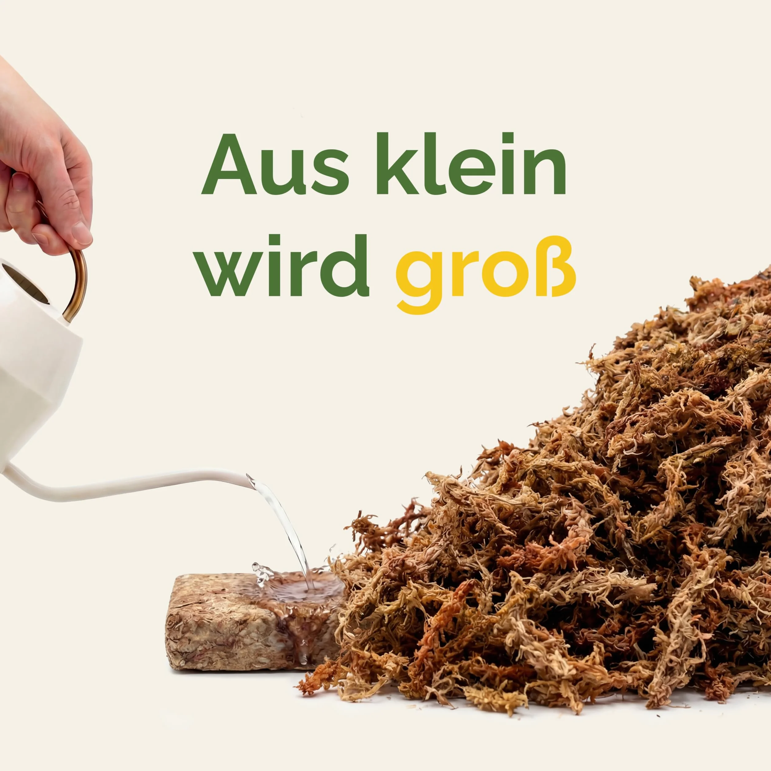 Sphagnum mech do roślin pokojowych i pnączy, daje 10 l (1000 g)