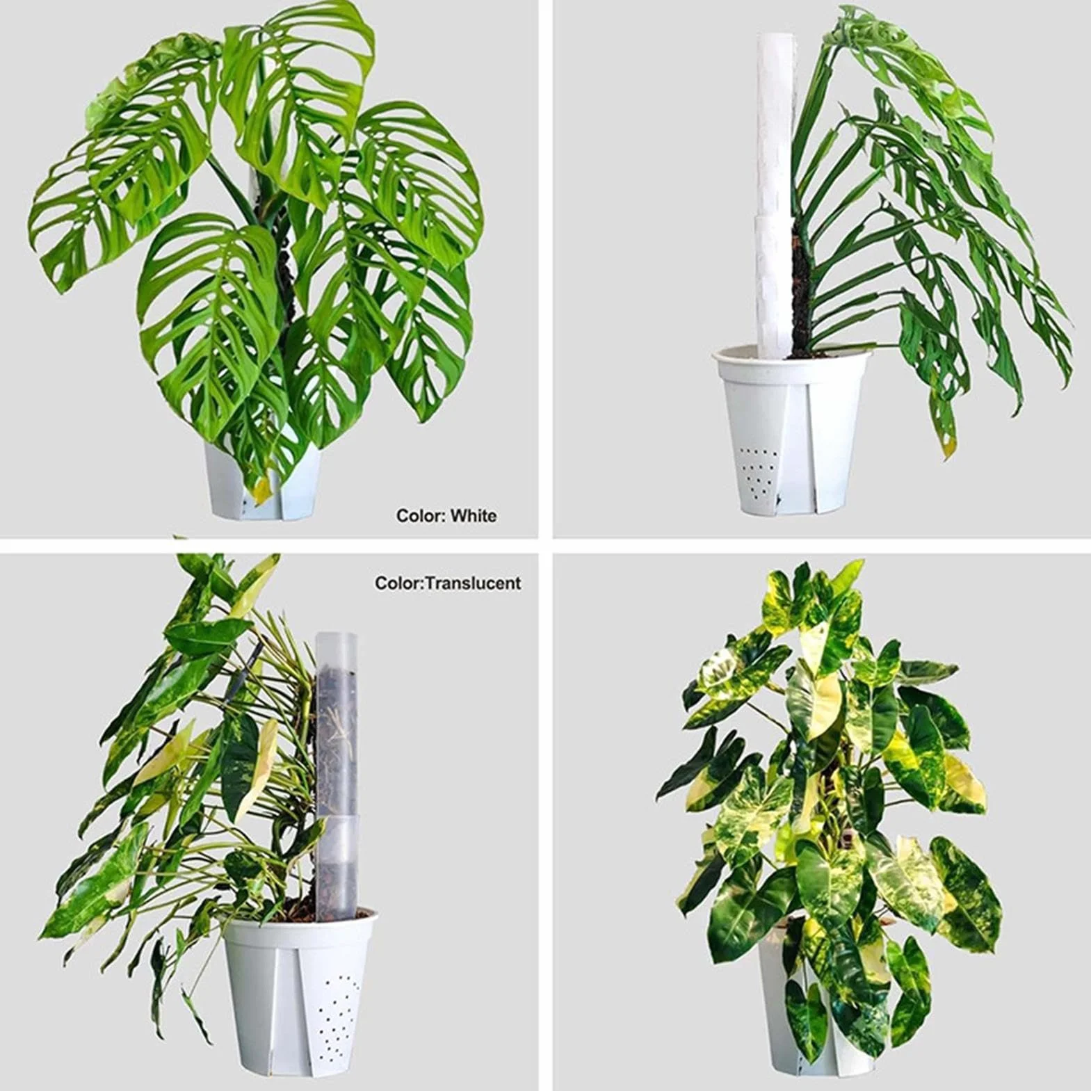 Podpórka do mchu, drążek wspinaczkowy Monstera, palik do mchu, kij podtrzymujący rośliny, 48 cm drążki do układania w stos do roślin pnących monstera, przezroczysty mch do pnącza monstera