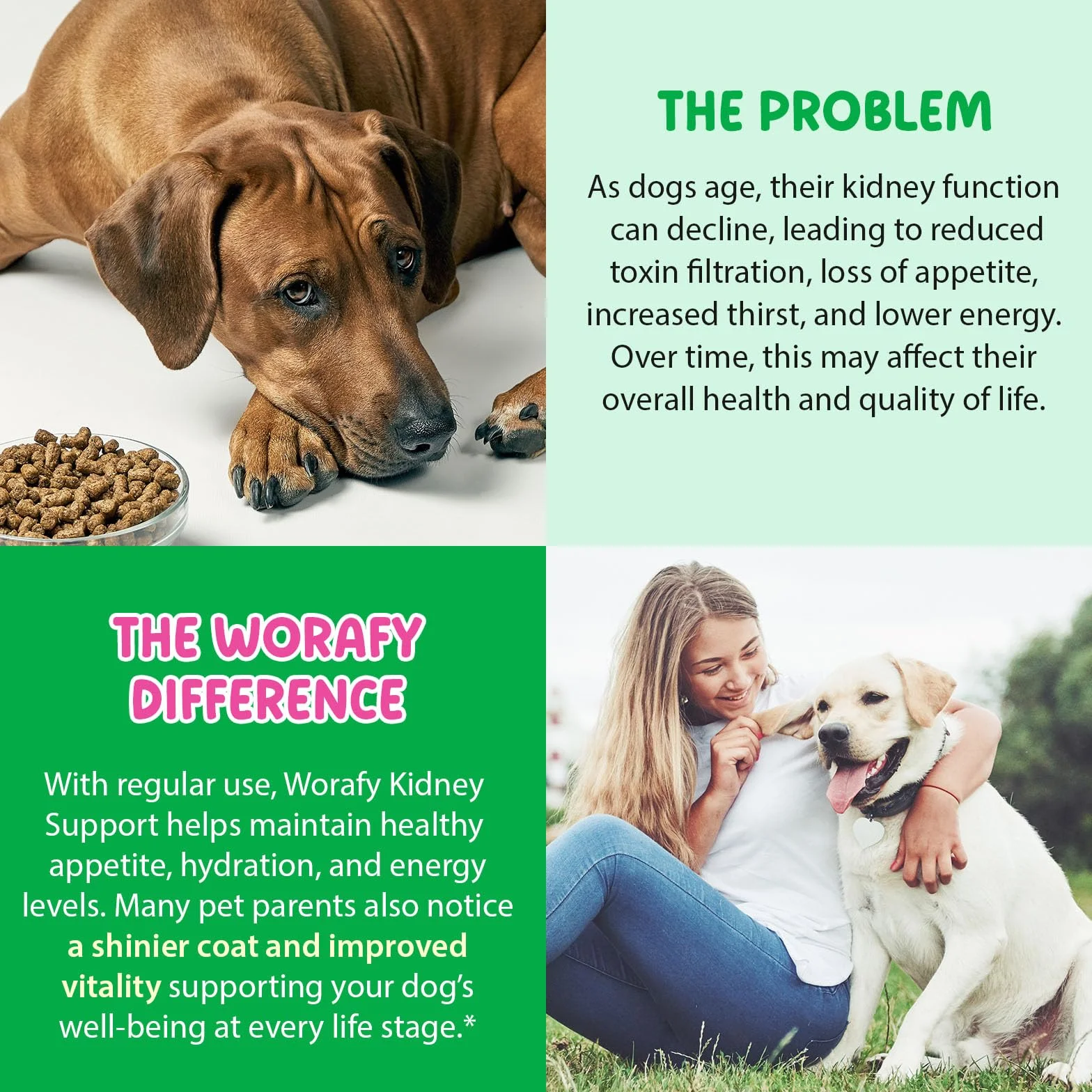 Pies Kidney Support Drops, 100% naturalne leczenie dróg moczowych dla psów, 60 ml, wspomaga czynność nerek