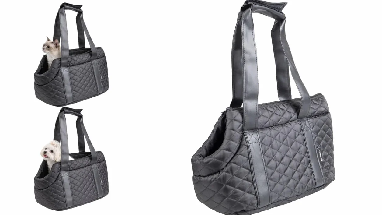 Flamingo F Torba transportowa Bailey Czarny 38x20x18CM