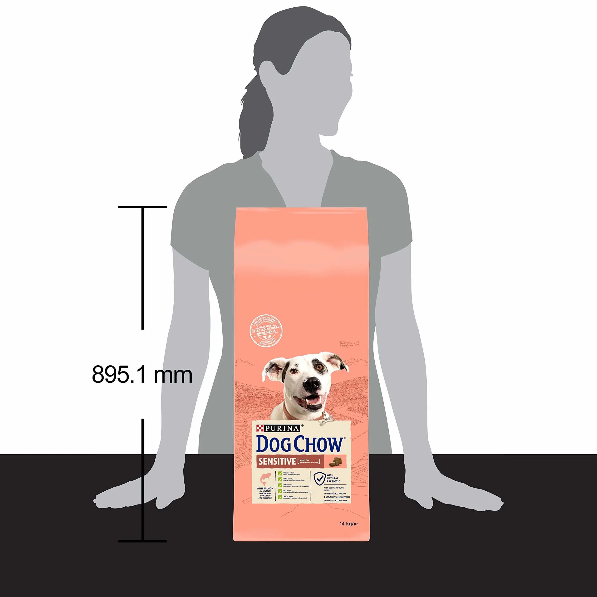 DOG CHOW Wrażliwe karma dla psów z łososiem 14 kg
