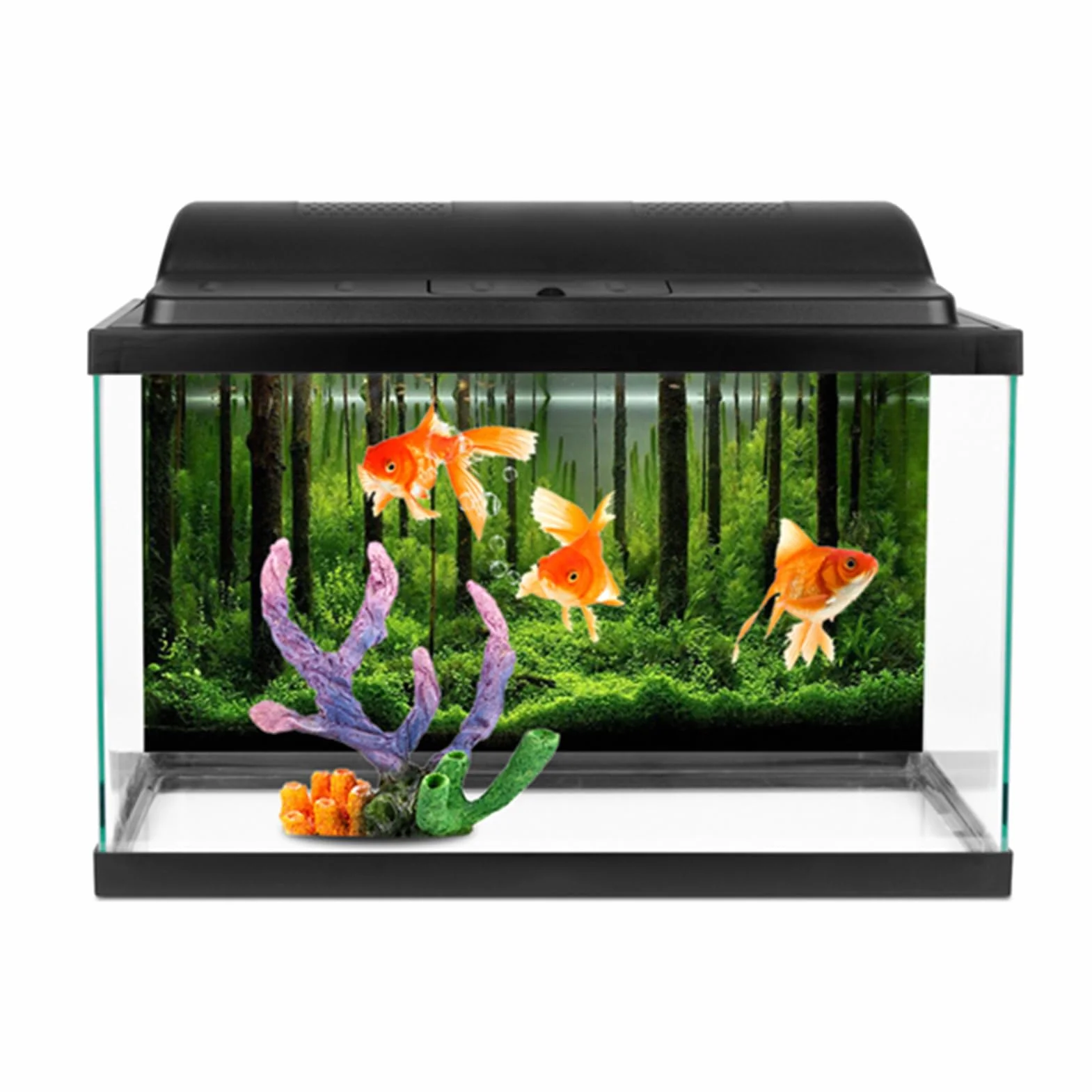 Dekoracyjny plakat akwarium tło las PCW 61 x 30 cm