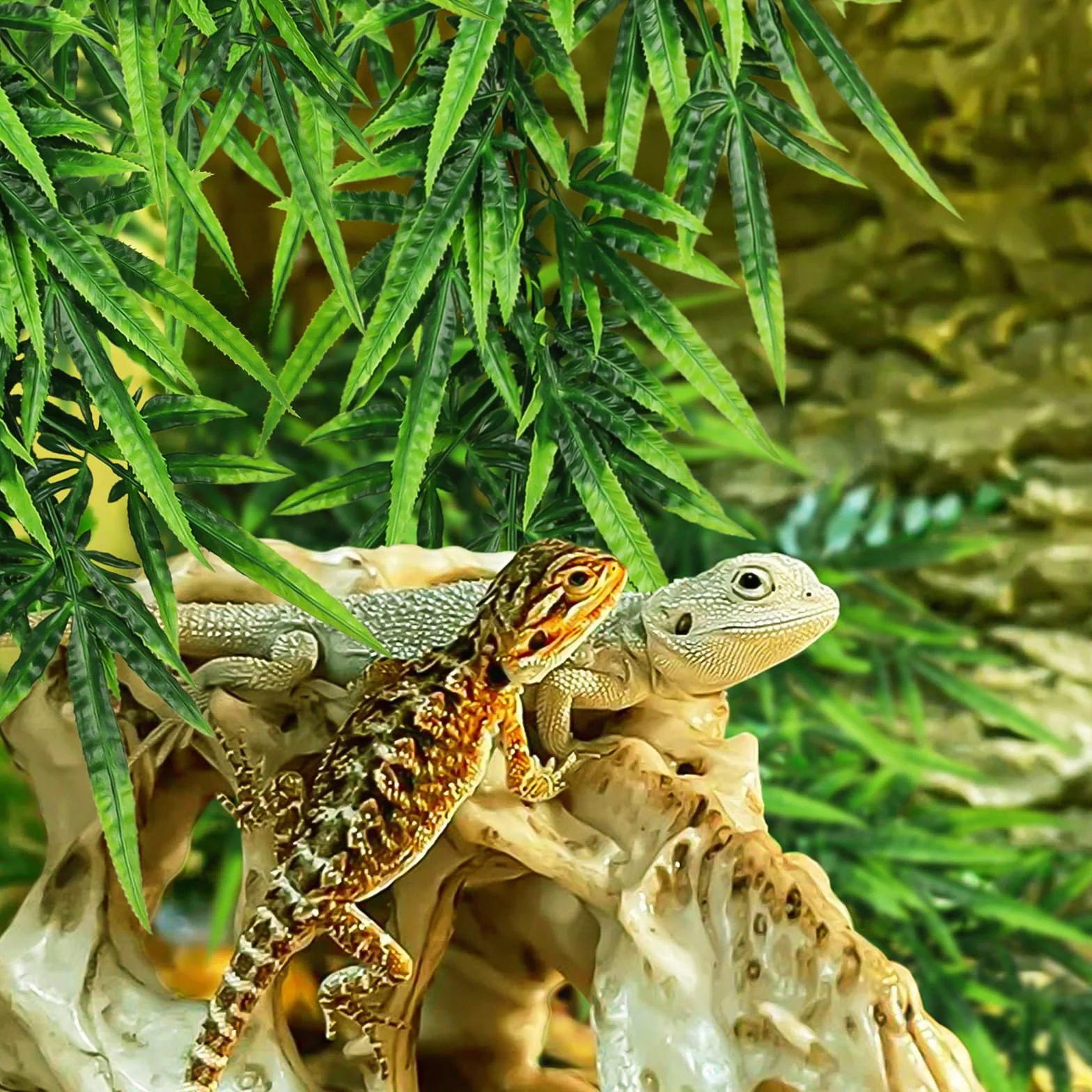 QUOZUO Akcesoria do zbiorników dla gadów, rośliny terrarium, 2 sztuki, sztuczne rośliny wiszące, sztuczne liście, skóra gadów, z przyssawką