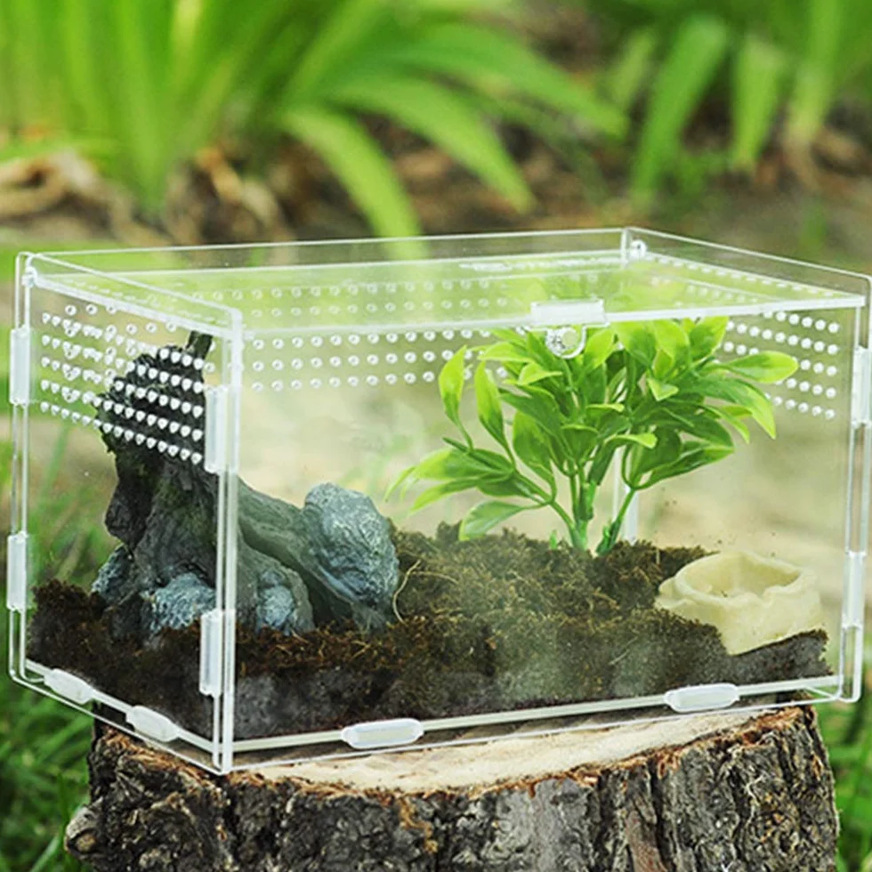 Skrzynka do karmienia, akrylowe pojemniki, terrarium dla pająka, jaszczurki, żaby, skorpiona, przenośne siedlisko dla zwierząt domowych, konstrukcja zapobiegająca ucieczce, przezroczyste 1