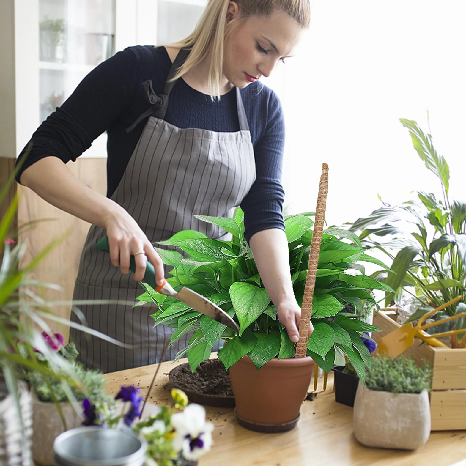 2 sztuki, 70 cm, słupek do mchu, giętki słupek do mchu dla roślin Monstera, wysokie słupki roślin pnących do wnętrz, duży wspornik do słupka do mchu, paliki do kratki ogrodowej dla roślin
