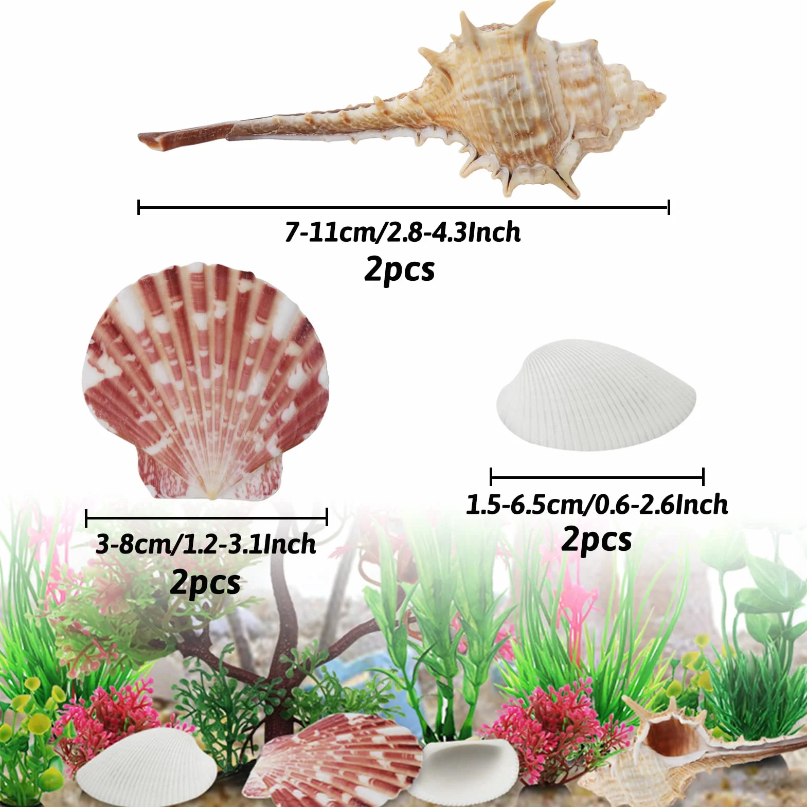QUOZUO Rośliny akwariowe z naturalnymi muszlami 15 szt. dekoracja akwarium