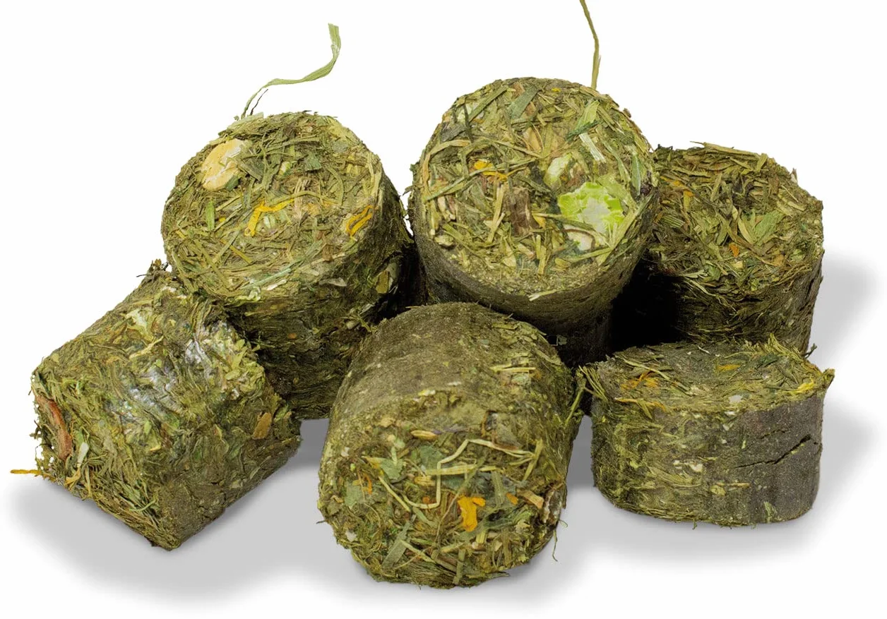 JR FARM Grainless One świnka morska 950 g