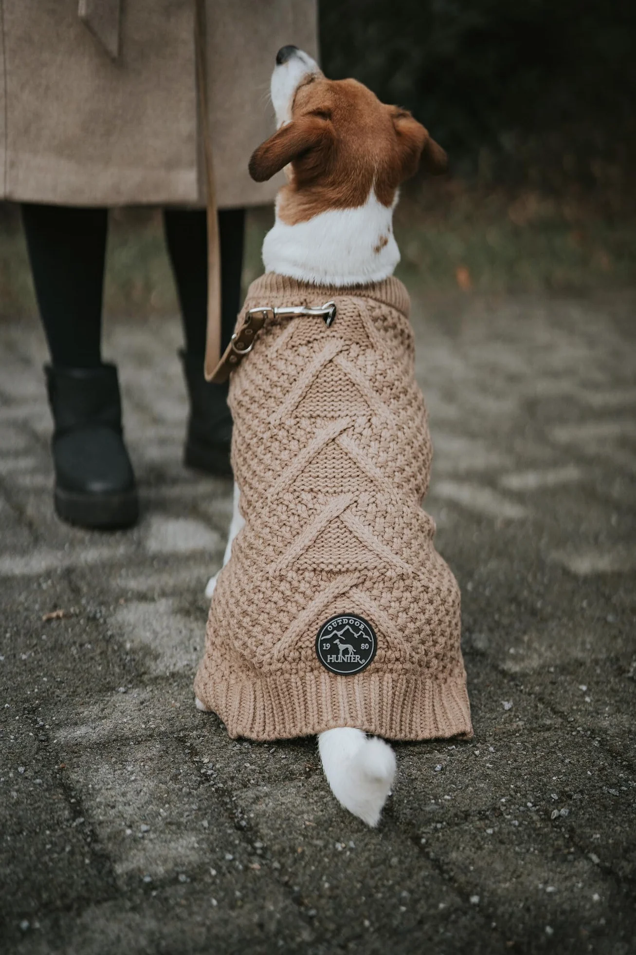 HUNTER Malmo Sweter dla psa, 40 cm, beżowy