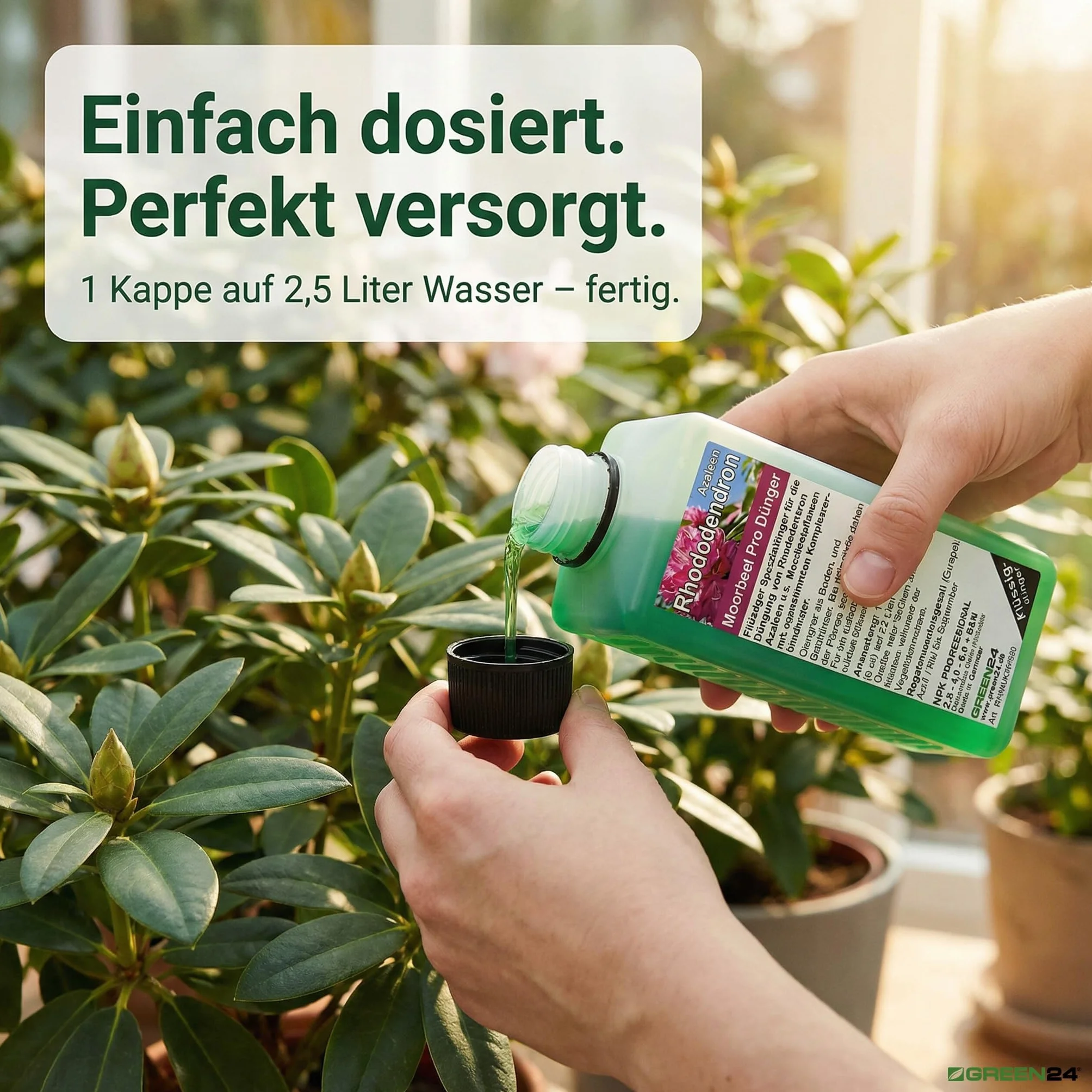 Rhododendron nawóz do azalii, nawóz płynny premium z profesjonalnej linii
