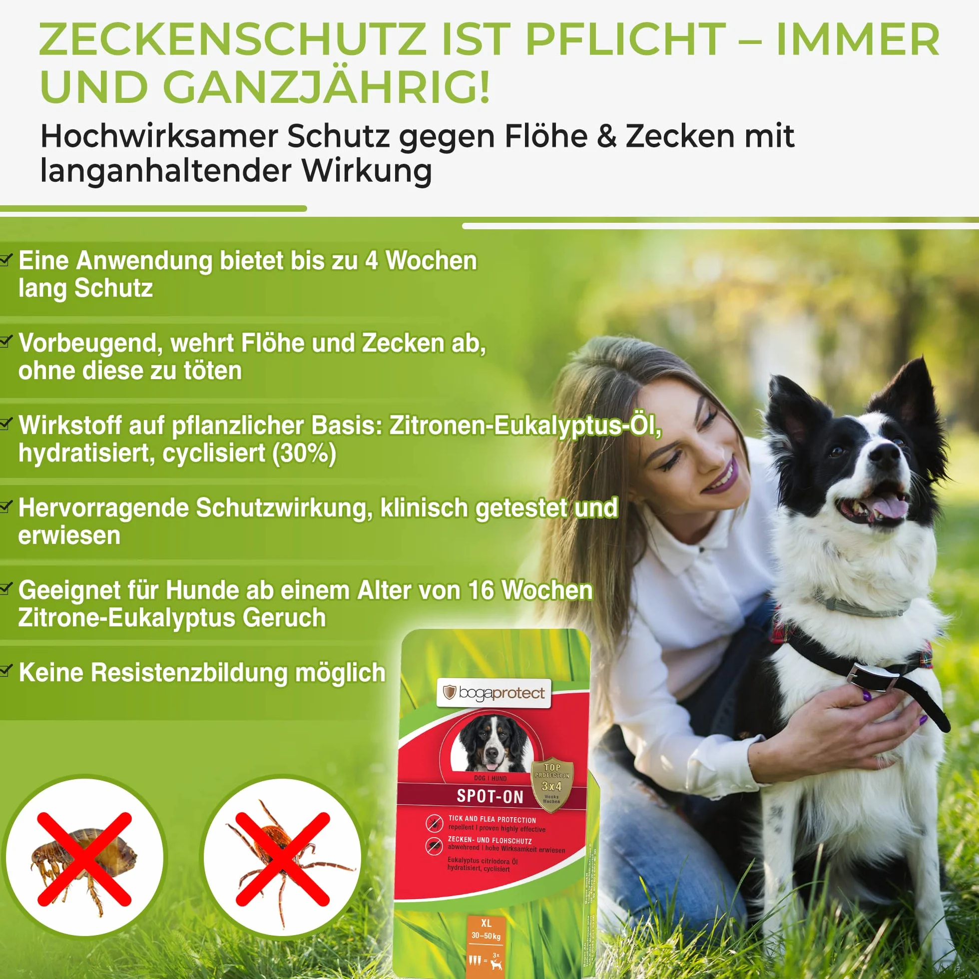 Bogaprotect Spot ON środek na pchły dla psów, naturalna ochrona przed kleszczami, XL (30-50 kg)