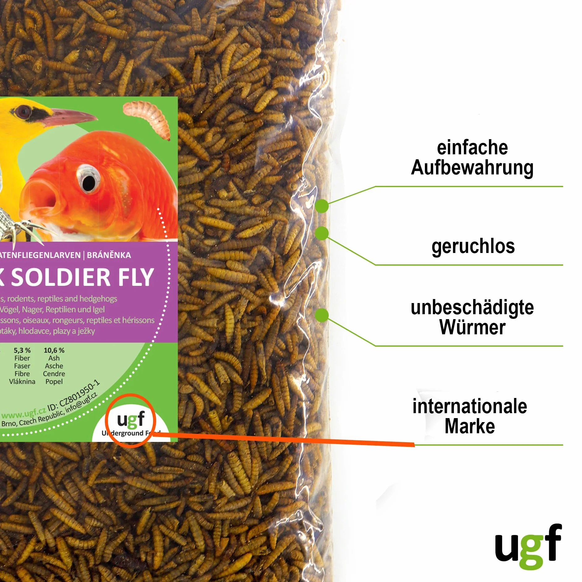 Hermetia BSFL larwy muszek żołnierskich 1 kg karma dla dzikich ptaków żółwi szczurów jeży chomików