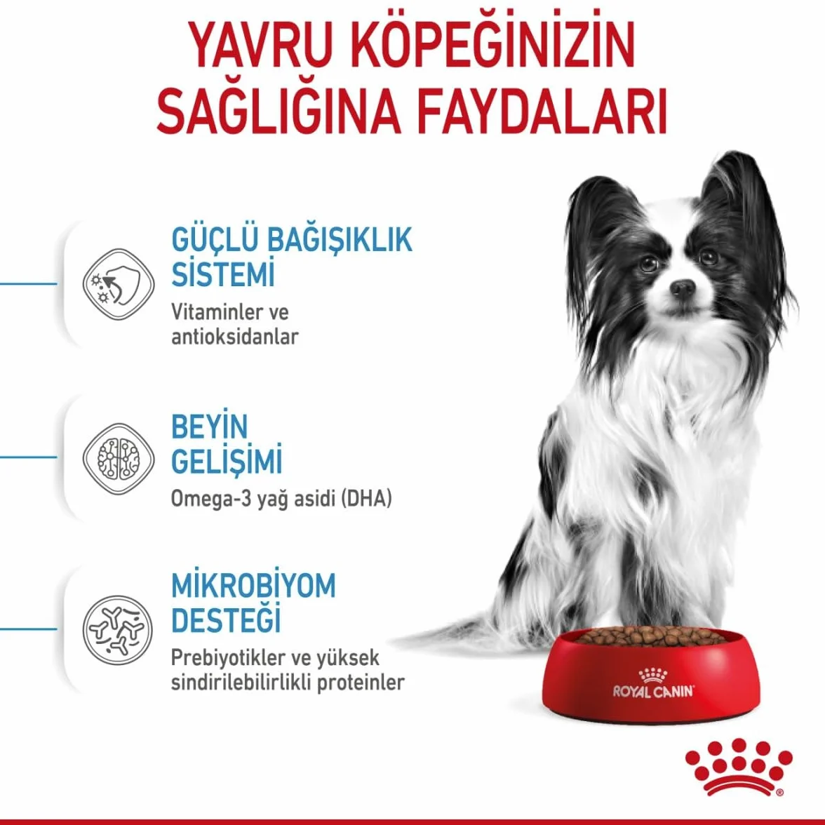 Royal Canin X-Small Puppy 1,5kg