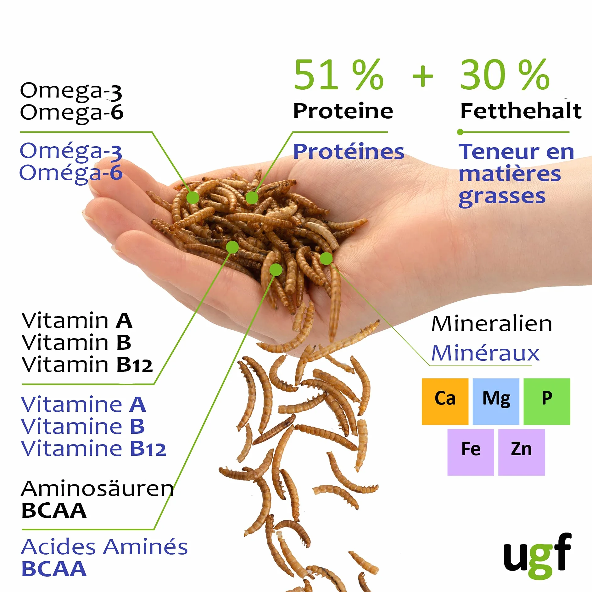 UGF Suszone Robaki Mączne 250 g Przekąski dla Ptaków Gryzoni