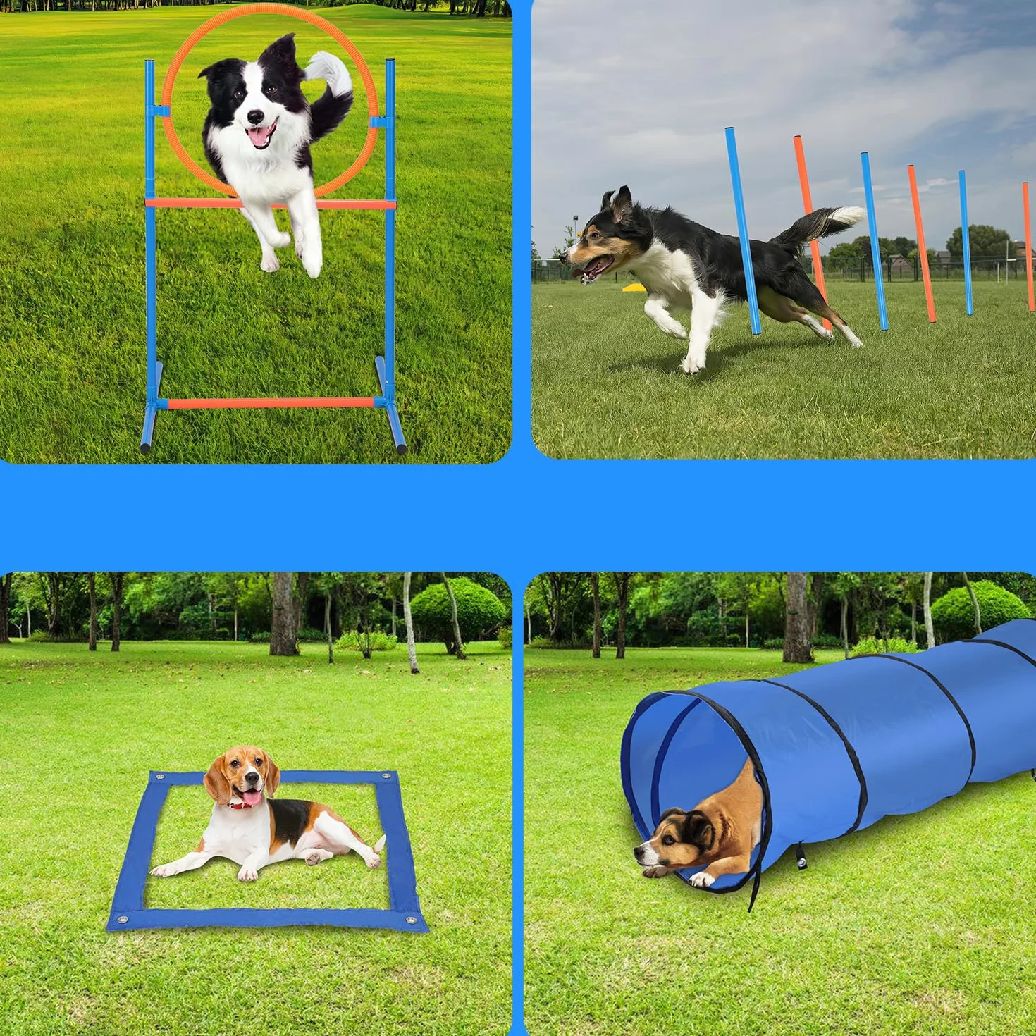 Herrselsam Agility zestaw sprzętu dla psów, zestaw sprzętu zwinnościowego dla psów, akcesoria do treningu psa, przeszkoda, pierścień do skakania, tunel dla psa, 8 drążków slalomowych, piłka, fajka,