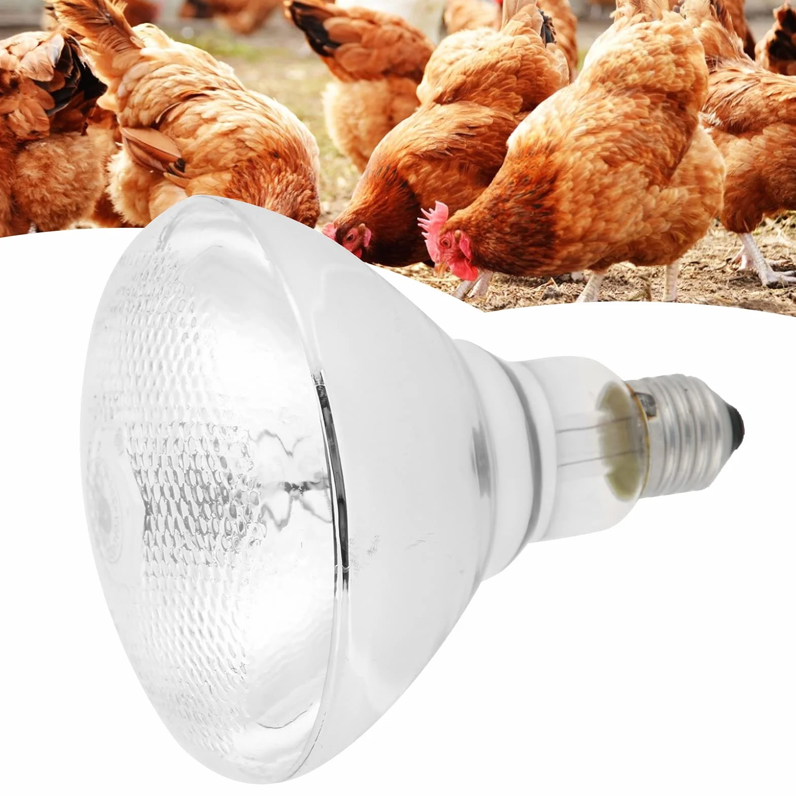 Zerodis Lampa grzewcza do hodowli, 250 W, lampa grzewcza dla zwierząt domowych z regulacją temperatury, lampa izolacyjna na podczerwień do hodowli żółwi, akwarium, akwarium, dla gadów, jaszczurek