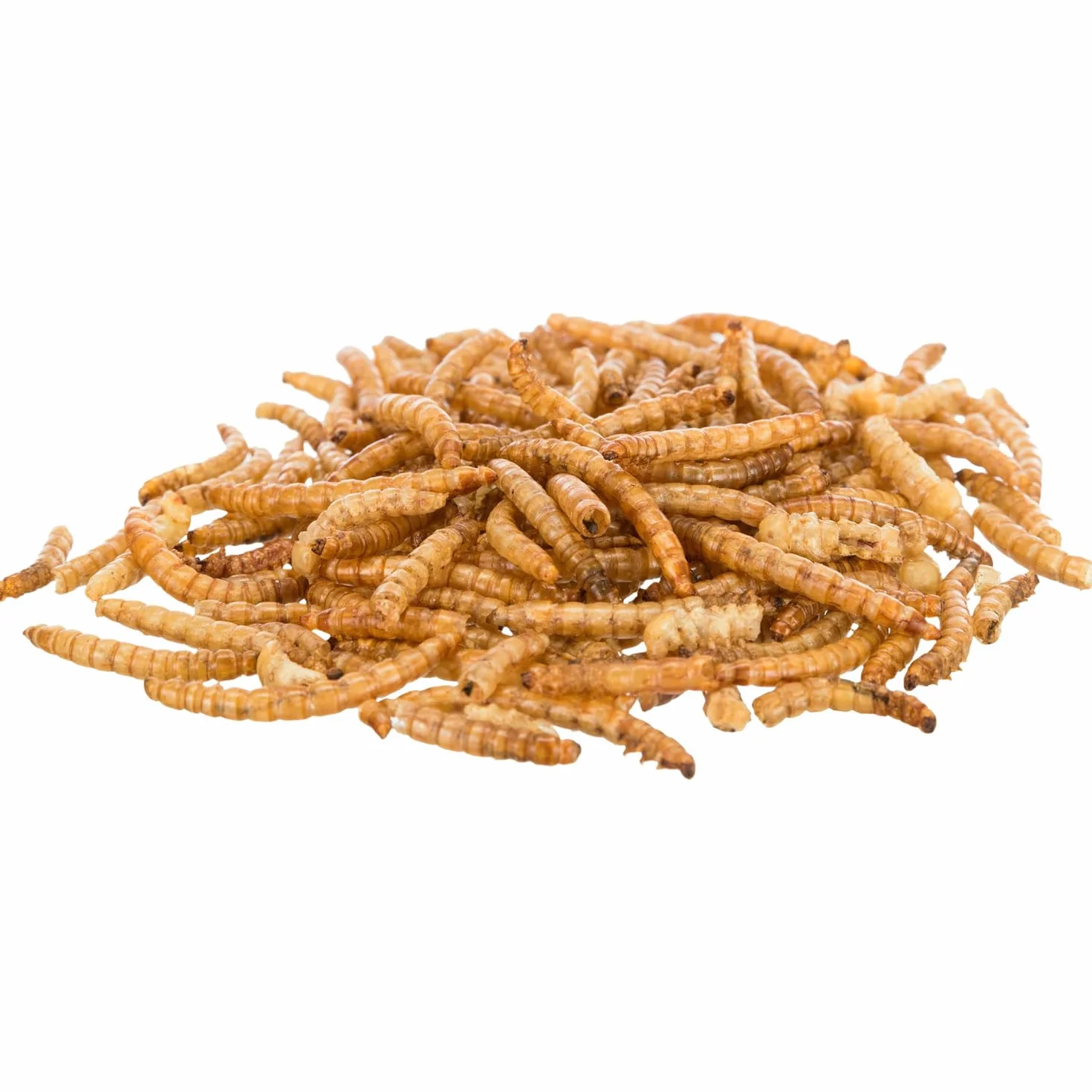 Mączniaki suszone, 200 g