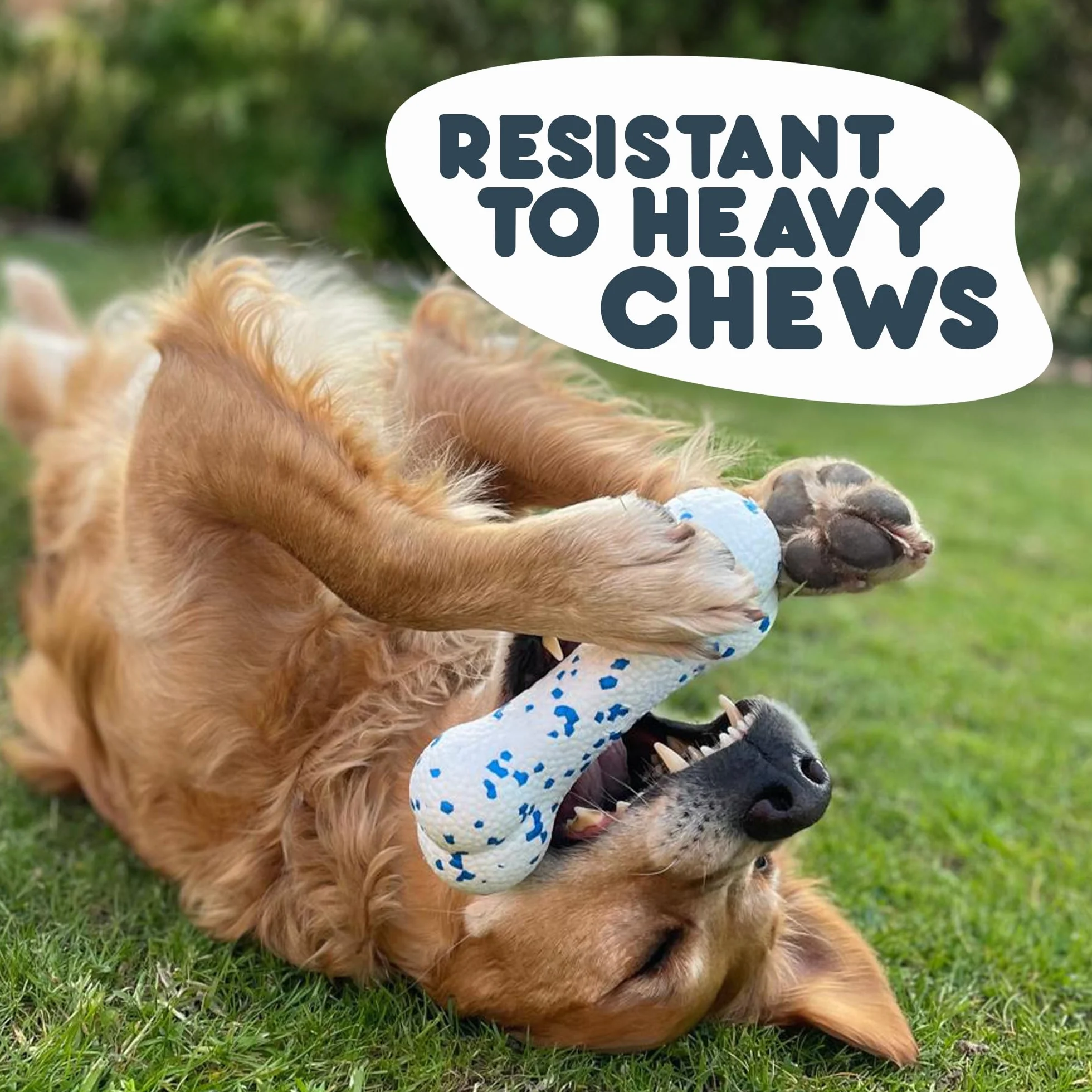 Petface Outdoor Paws Mighty Bone zabawka dla psa, bardzo mocna (1 szt.)