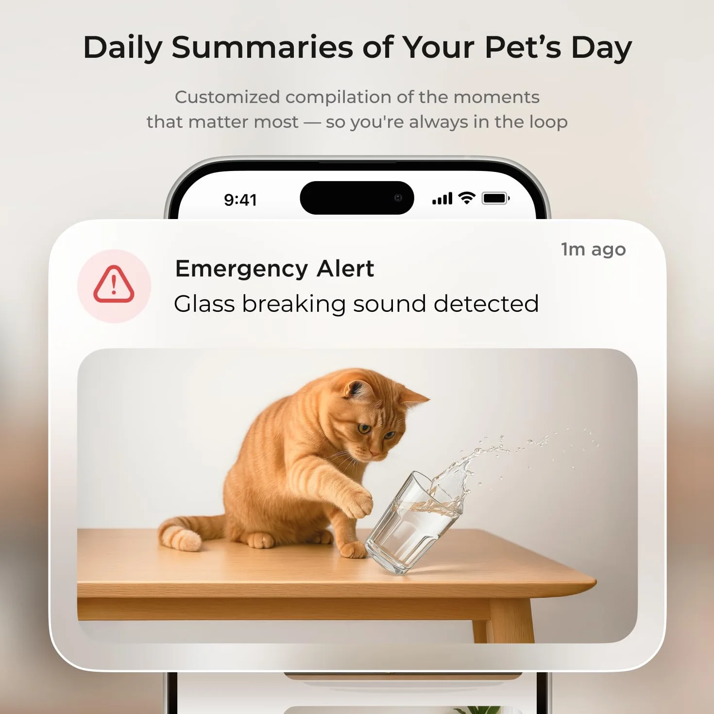 Petcube Kamera Cam 360, interaktywna kamera WiFi bezpieczeństwo zwierząt domowych i domowych z aplikacją na telefon, wideo HD 1080p, obrót 360°, noktowizor, dwukierunkowe audio, inteligentne alerty do