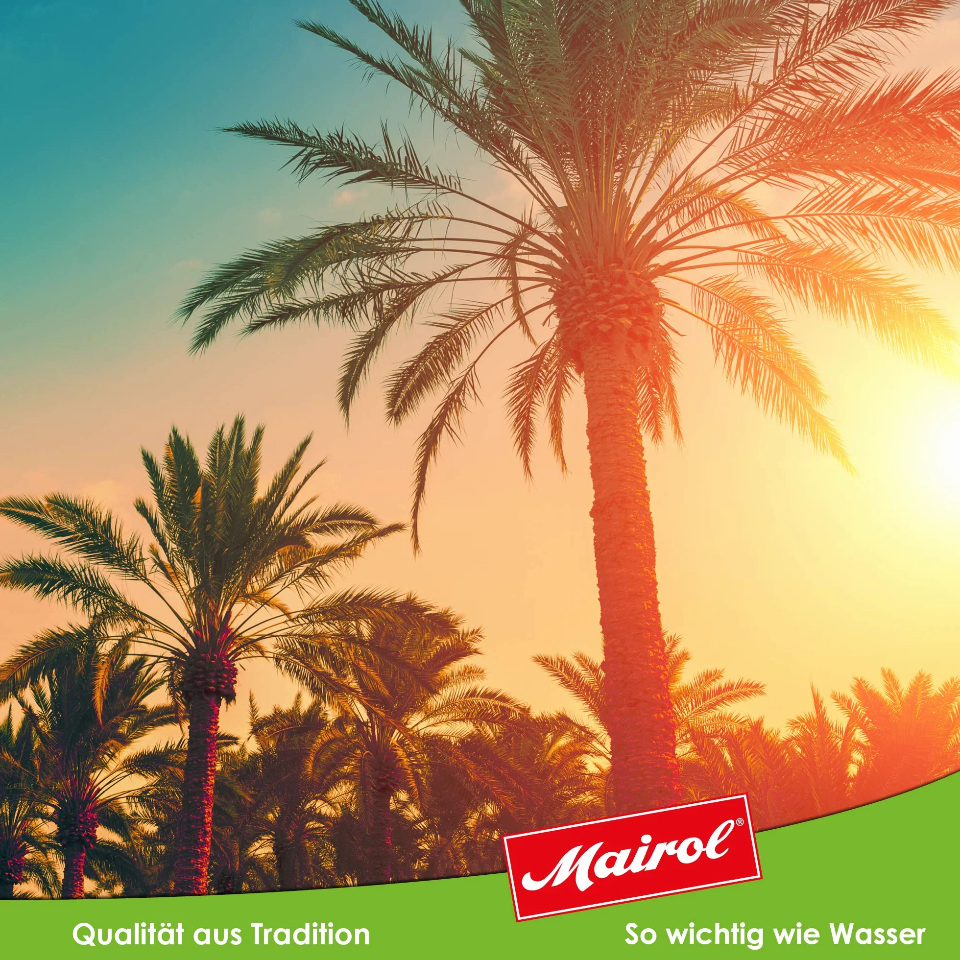 Mairol Nawóz do palm i juki w płynie, 1000 ml