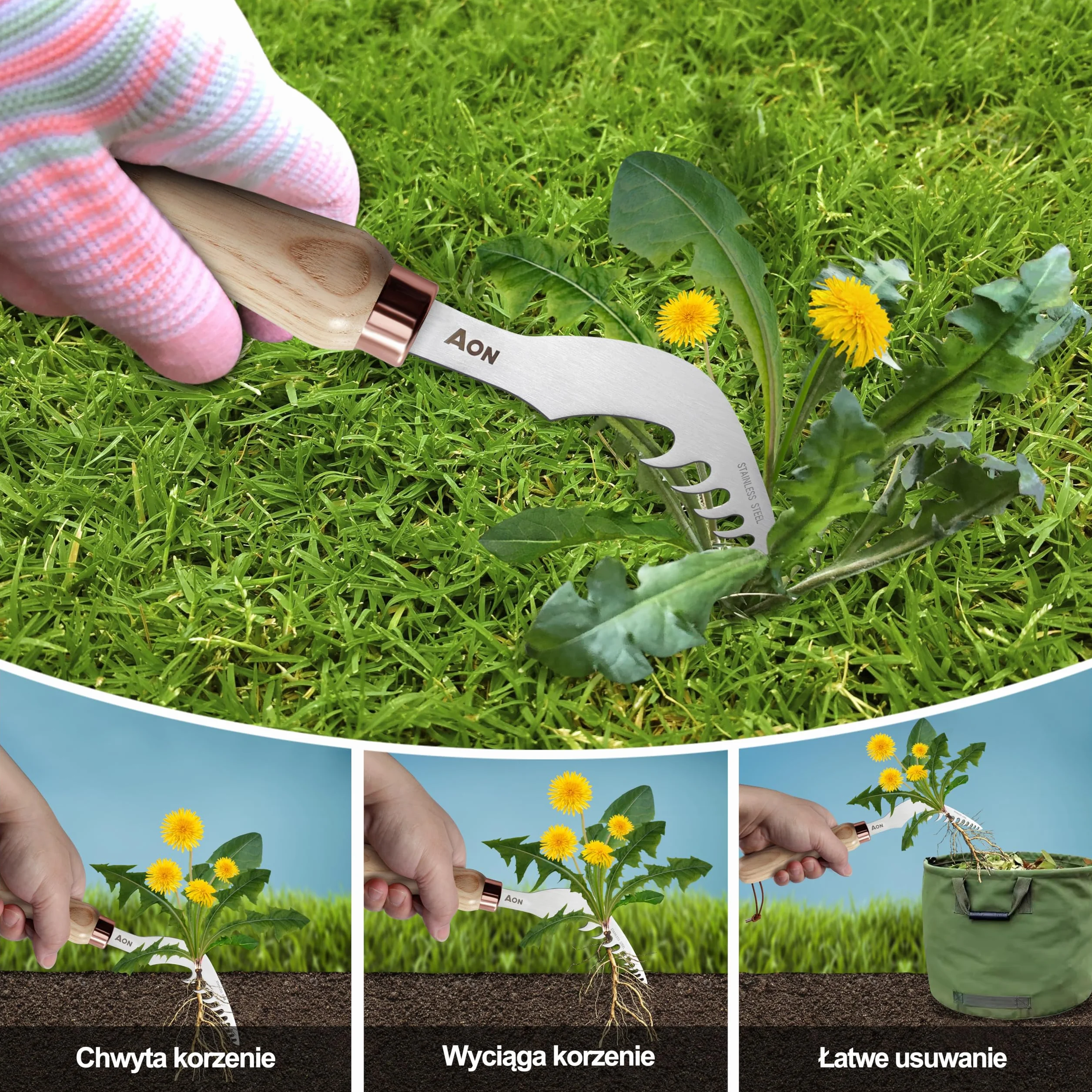 aon Zestaw 2 narzędzi – Odchwaszczacz y Skrobak do fug, Wyrywacz chwastów con acero tratado térmicamente y mango ergonómico de madera de fresno, ideal para jardines y patios, elimina malezas de raíz