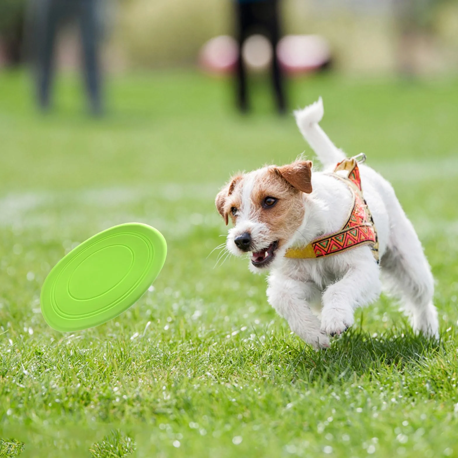 TSHAOUN frisbee dla psa latający talerz miękka guma 18 cm żółto-zielono-niebieski