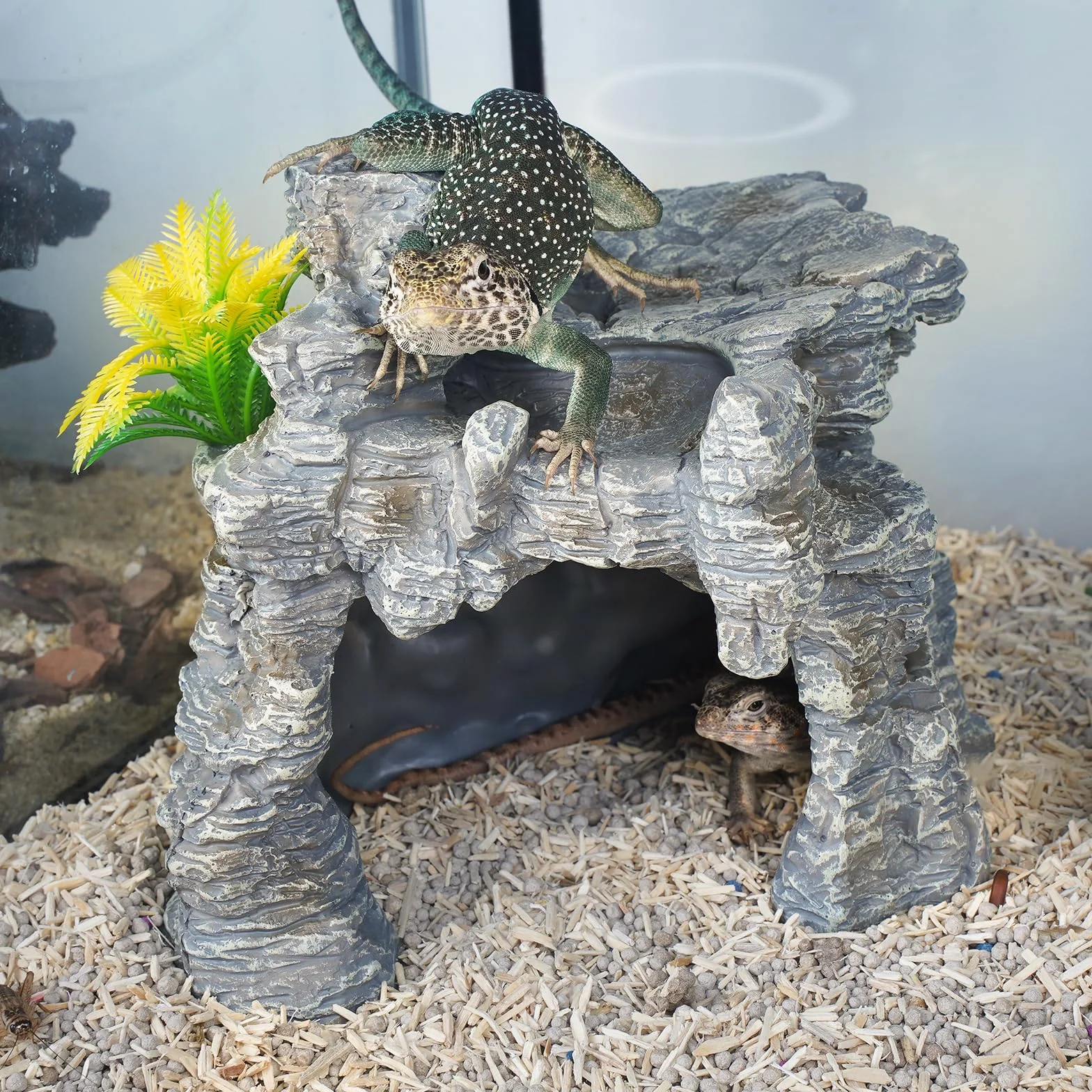 Żywica duża skóra gadów, terraria, akwaria, akcesoria, dekoracje dla gadów, płazów i ryb